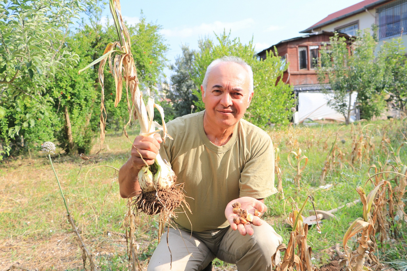 Bu Sarımsağı Gören Bir Daha Bakıyor  Normallere Göre 3-4 Kat Büyük