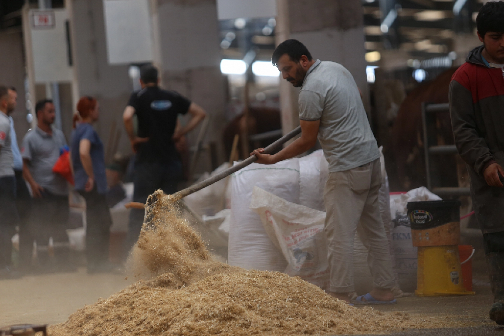 Kurbanlık Satışları İstedikleri Gibi Olmayınca, İndirim Yaptılar