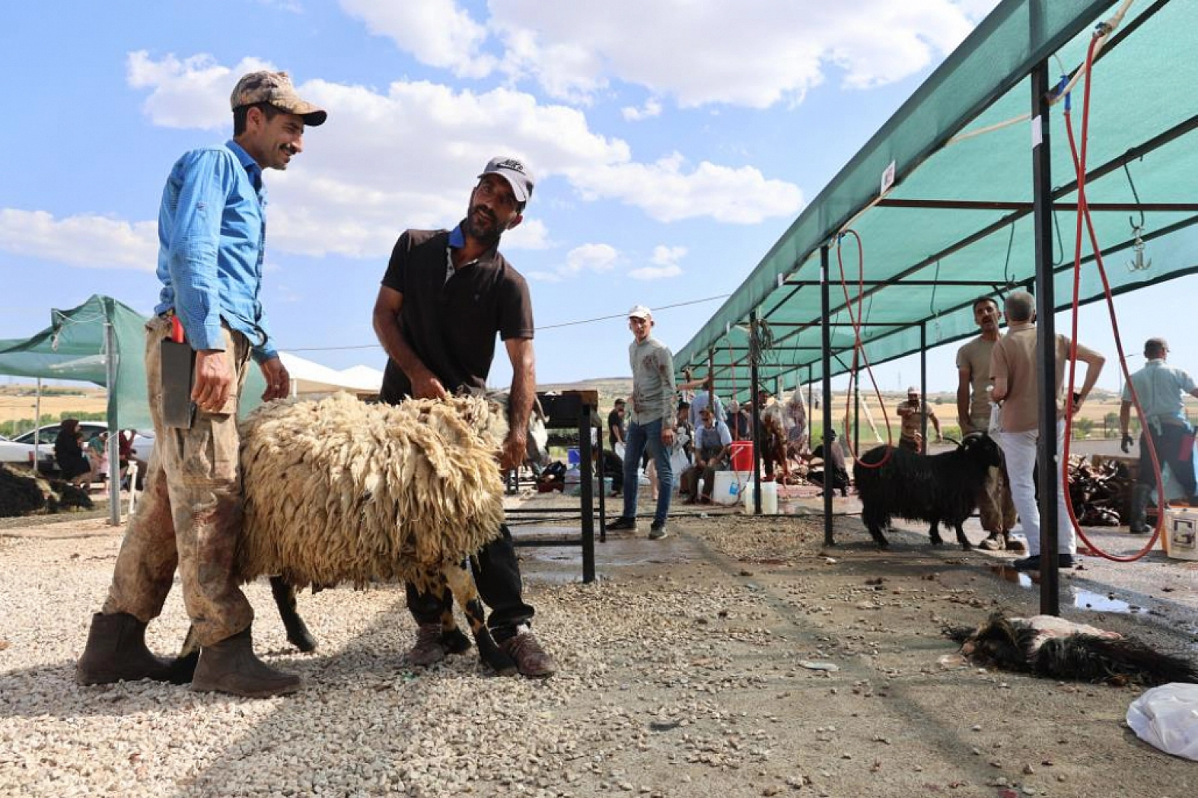 Elazığ'da Herkes Oraya Koşacak!