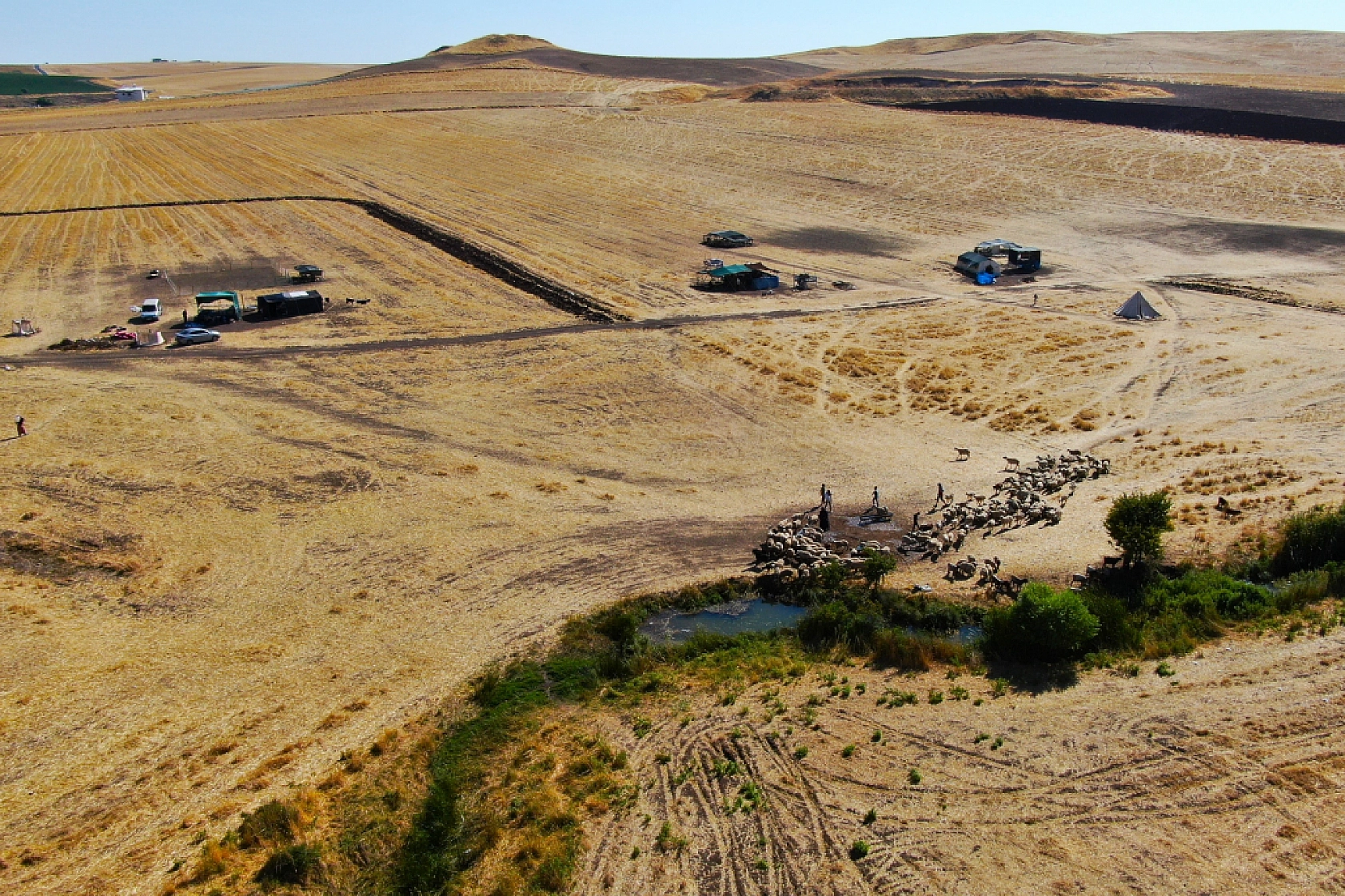 Konargöçer Aileler Zorlu Yaşamını İdame Ettirmeye Devam Ediyorlar