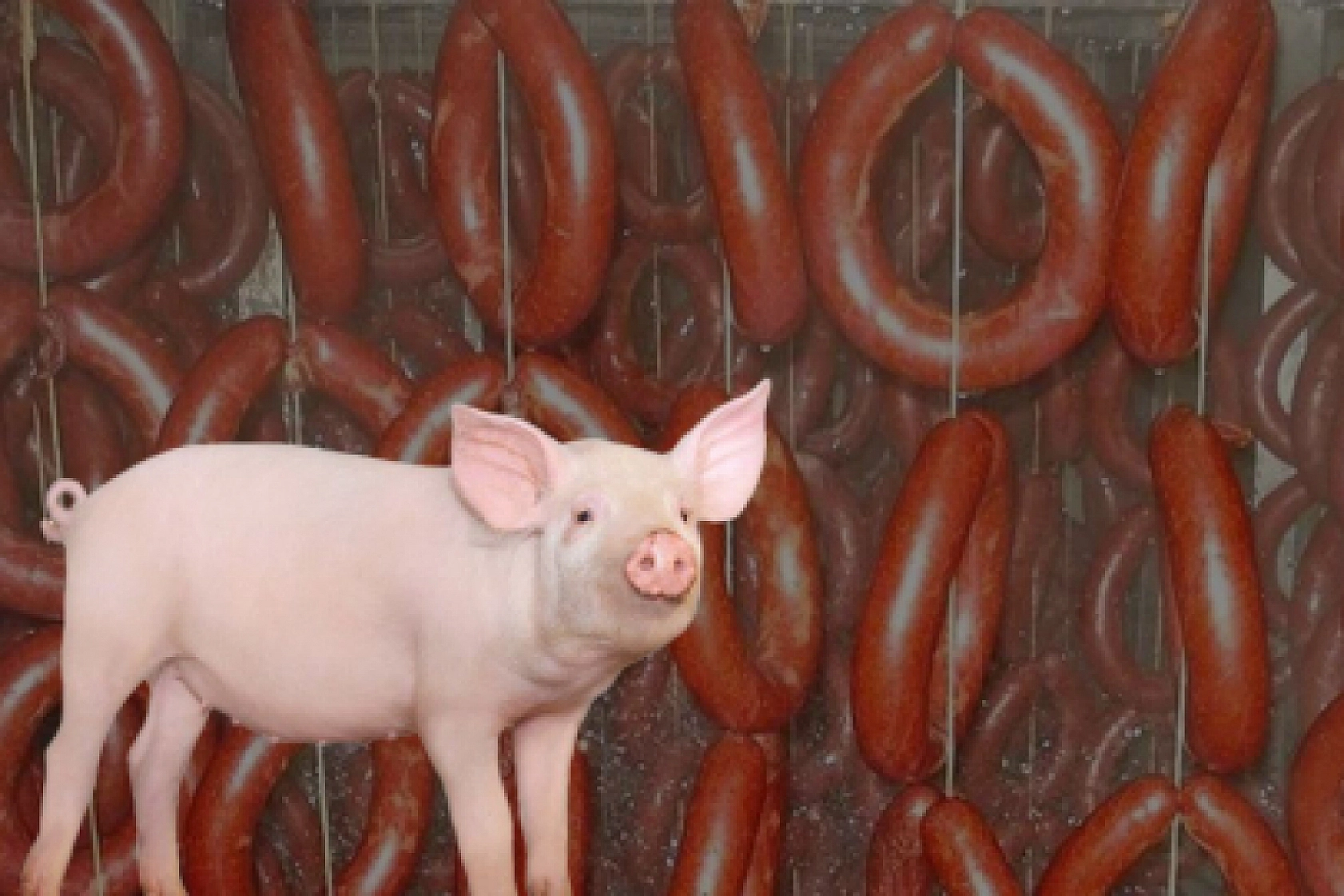 Skandalların ardı arkası kesilmiyor: Sucuk diye domuz eti vermişler!