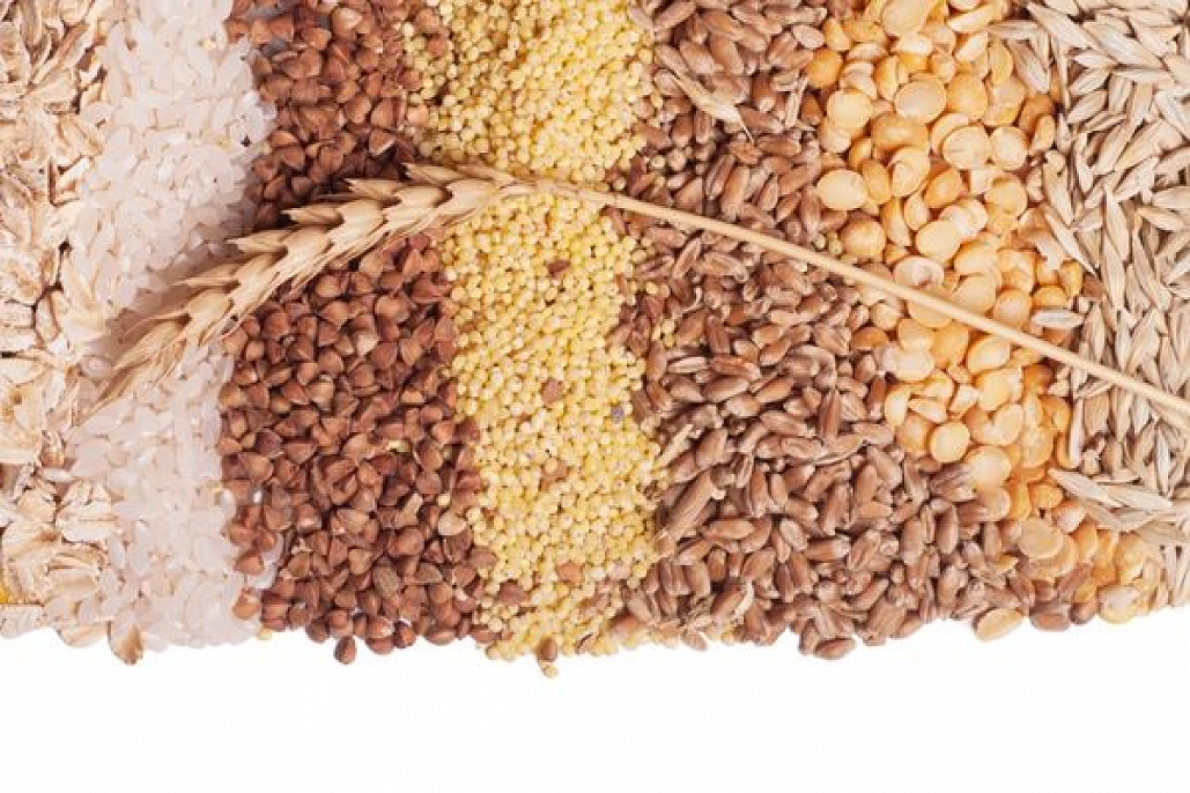 Elazığ'da Büyük Heyecan: Uğraşlar 3 Ay Sürecek, Depolar Dolacak!