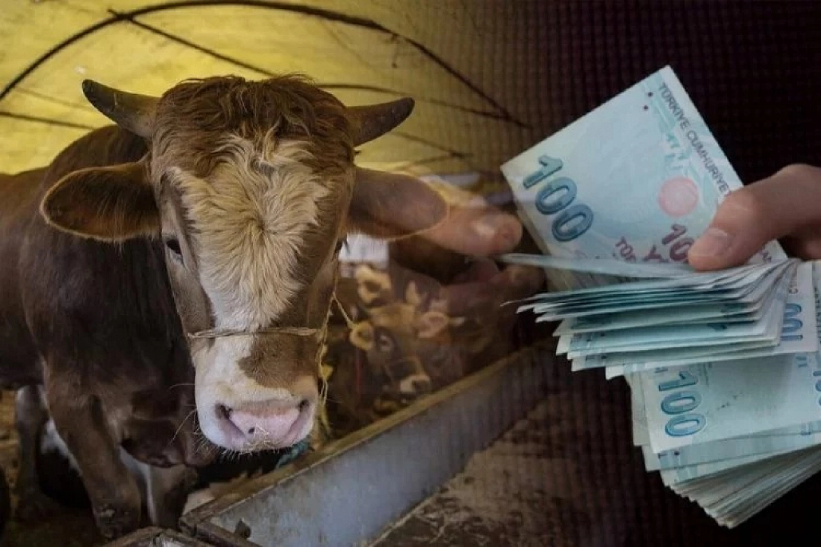 Kurbanlık Fiyatlarında Büyük Sürpriz: 2024 Hesapları Ortaya Çıktı!