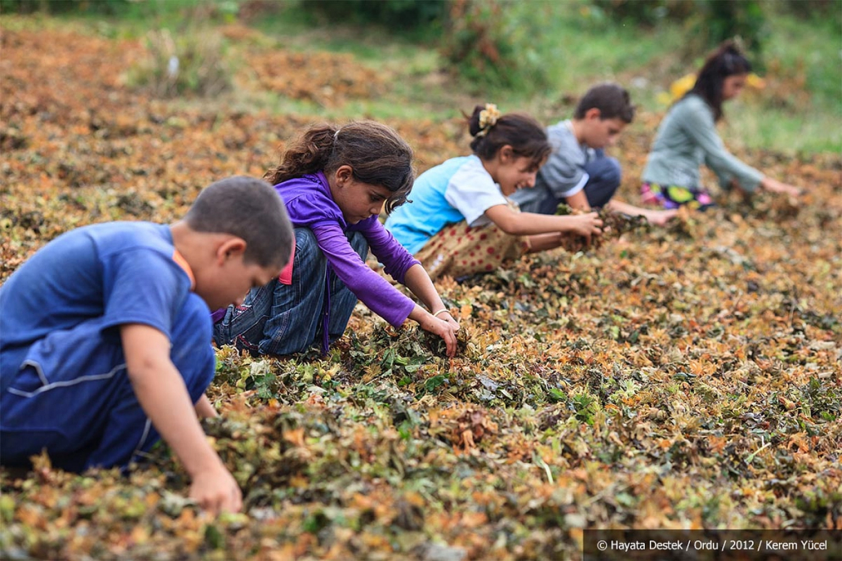 Elazığ'ın Asla Çözülmeyen Sorunu!