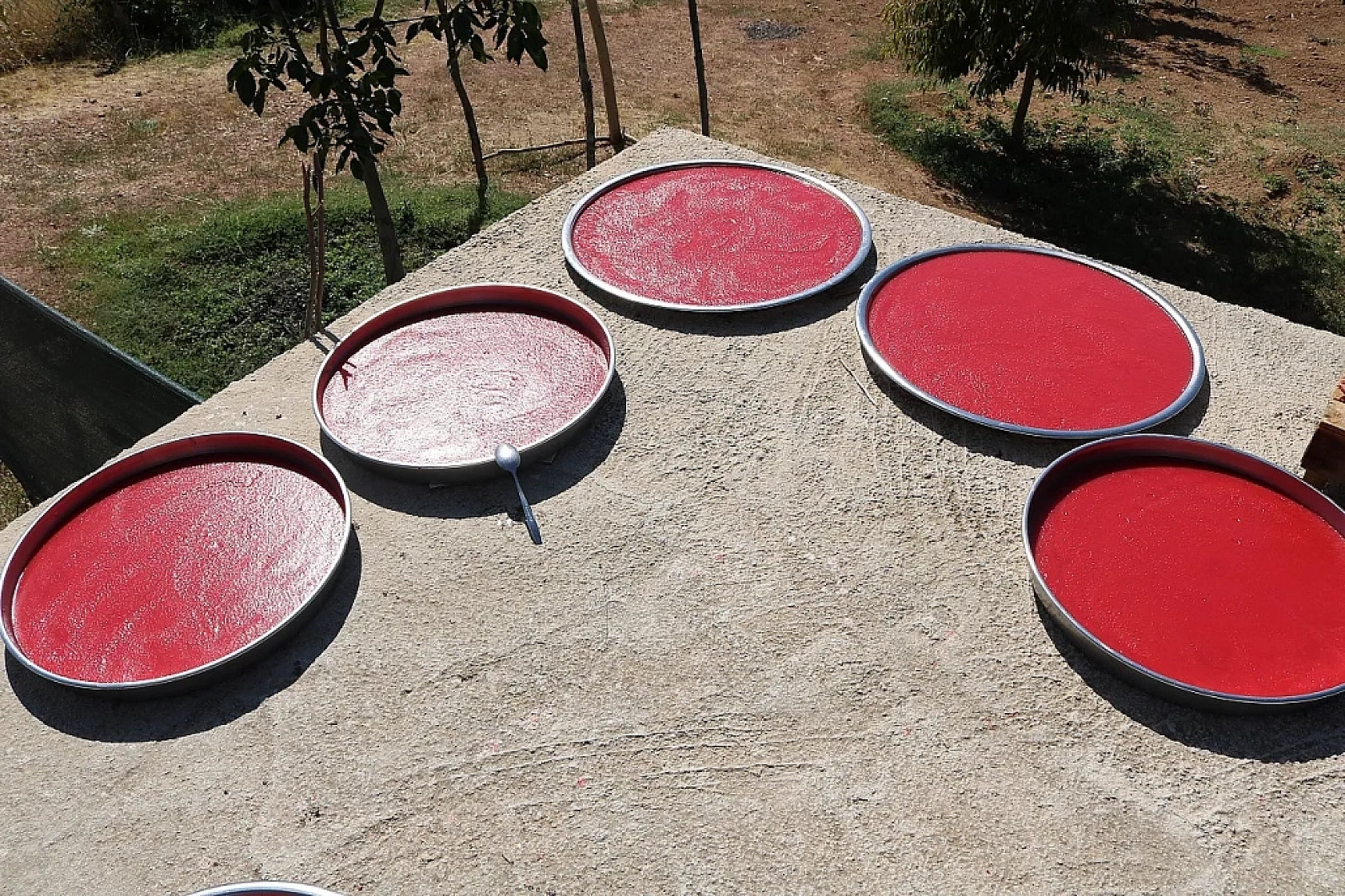 Elazığ'da Sezonu Bu Yıl Erken Başladı Fiyatı Cep Yakacak