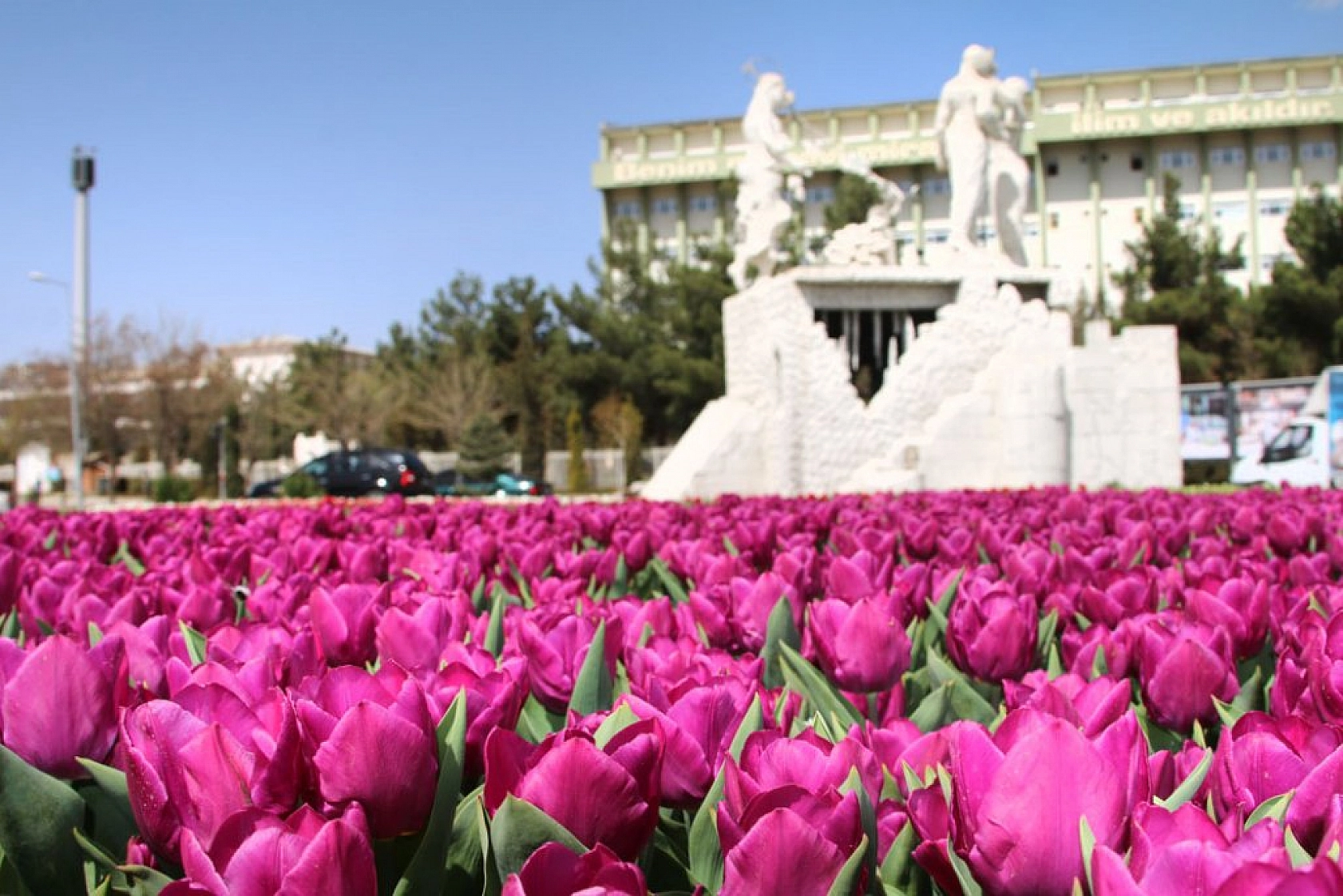 Elazığ'da 5 aylık macera başladı