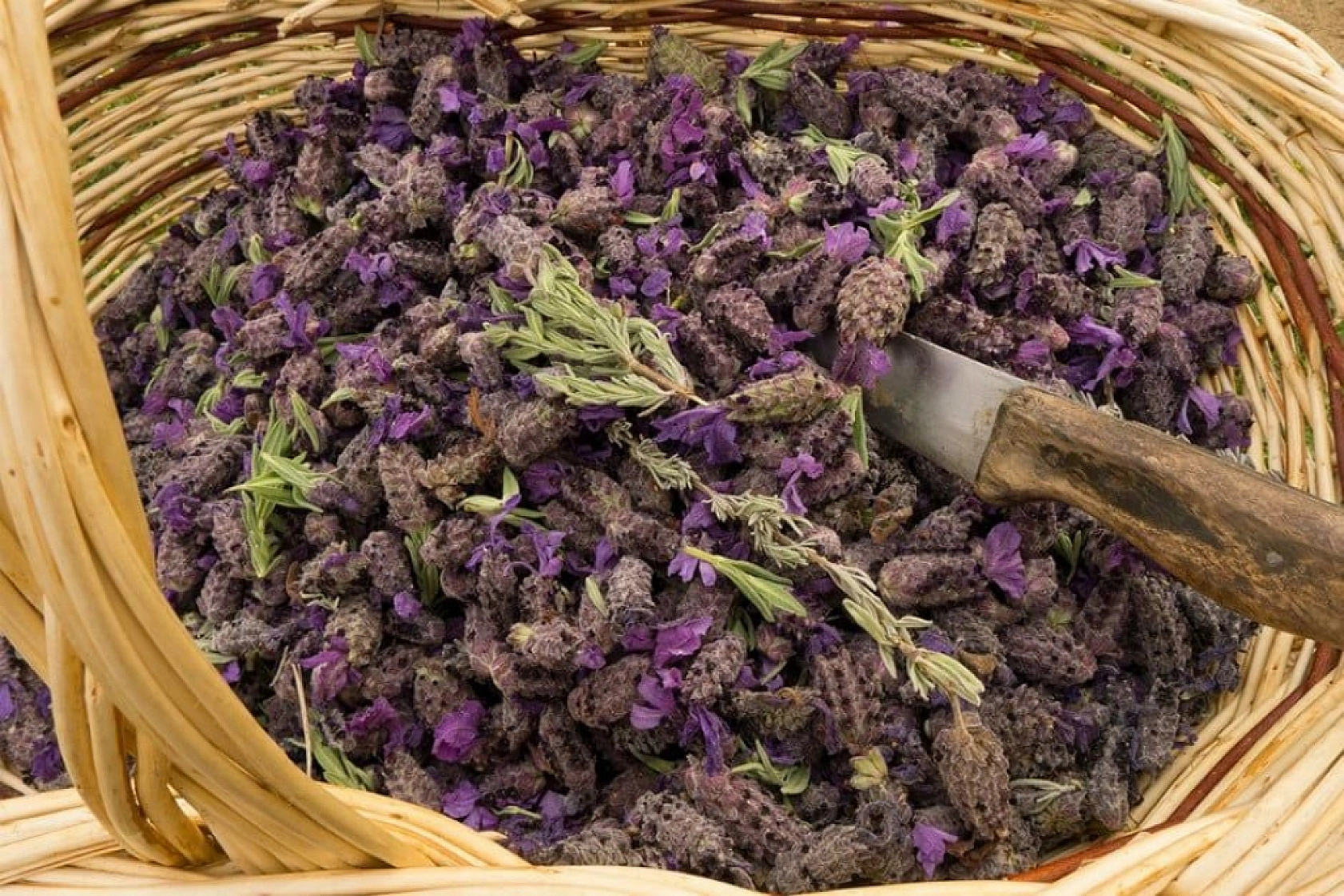 Elazığ Bu İlletten Kurtulacak!