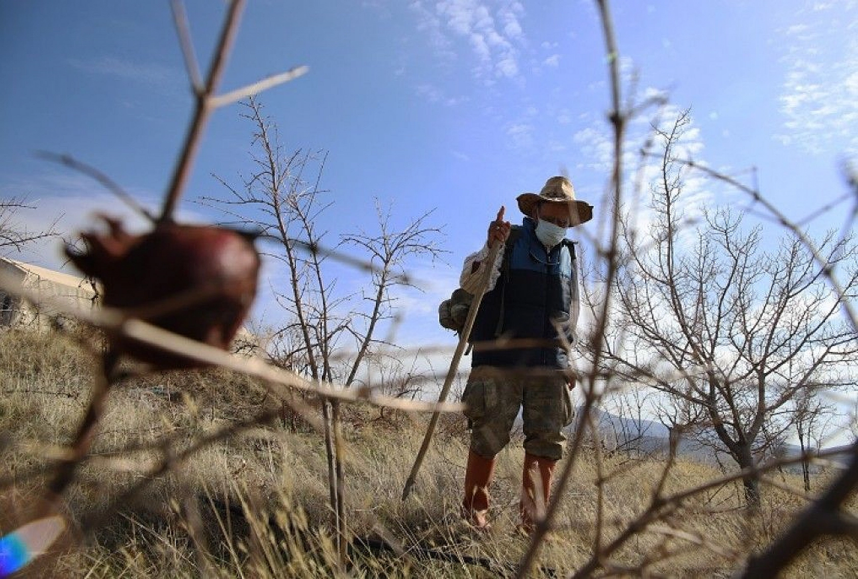 Adada çiçekler açtı