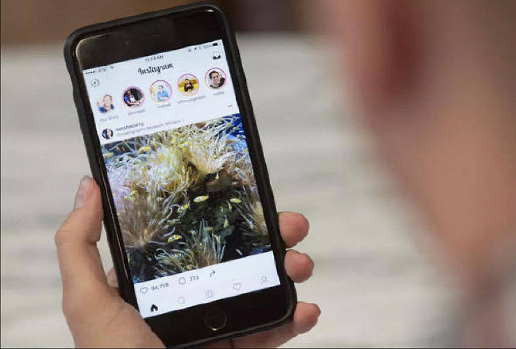 Instagram Ne Zaman Açılacak? Net Açıklama