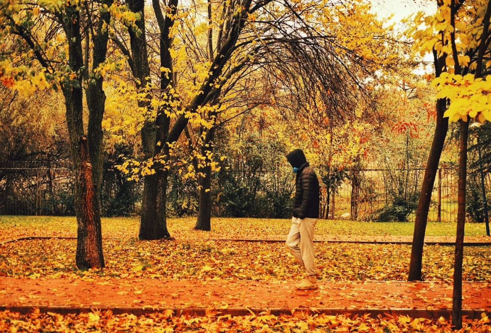 Fırat Üniversitesi kampüsünde sonbahar güzelliği