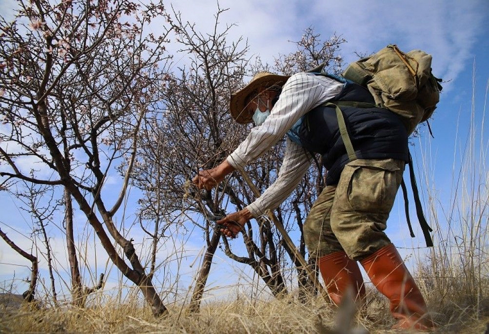 Adada çiçekler açtı