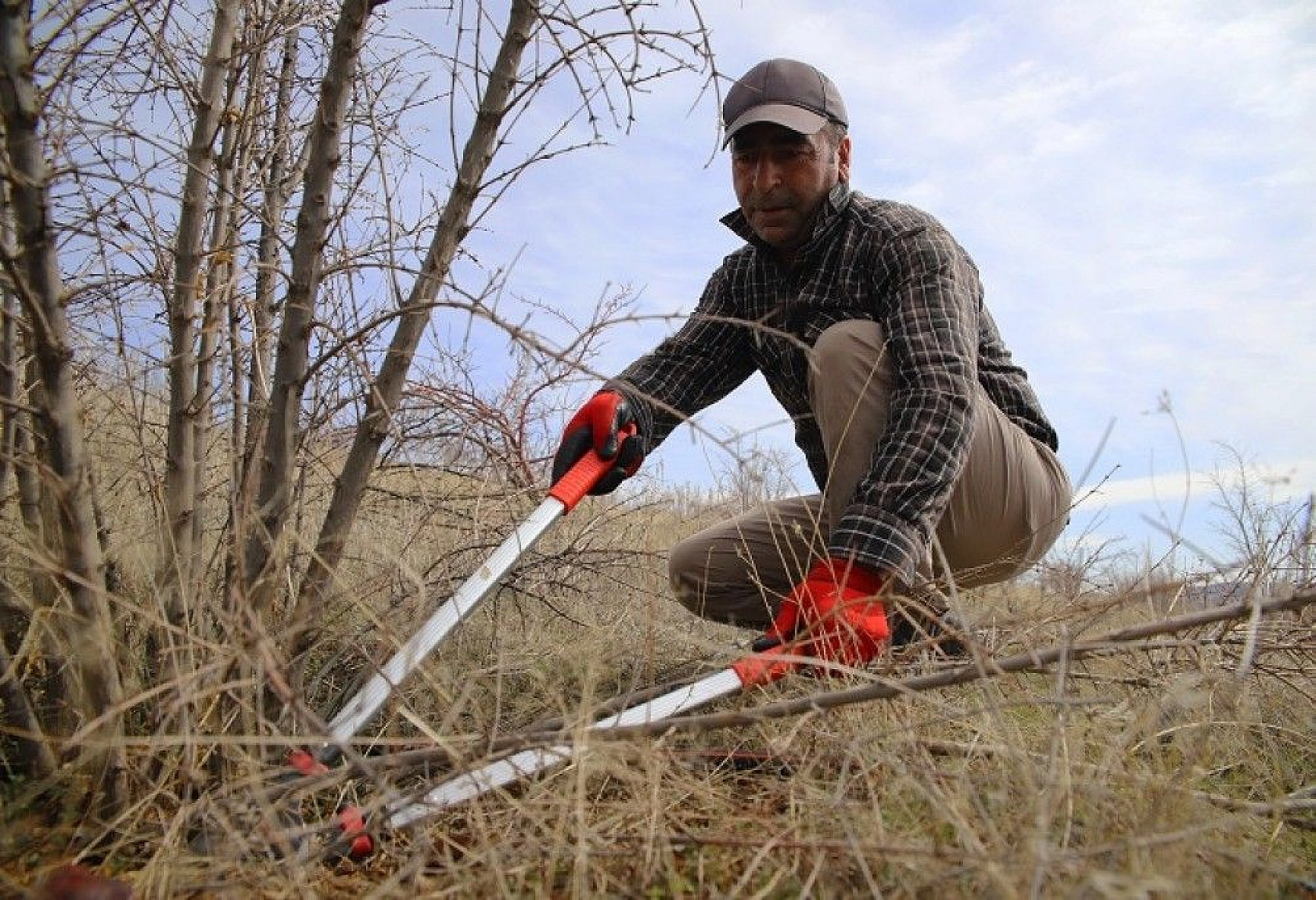 Adada çiçekler açtı
