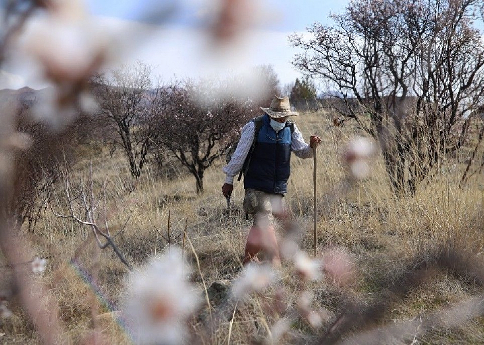 Adada çiçekler açtı