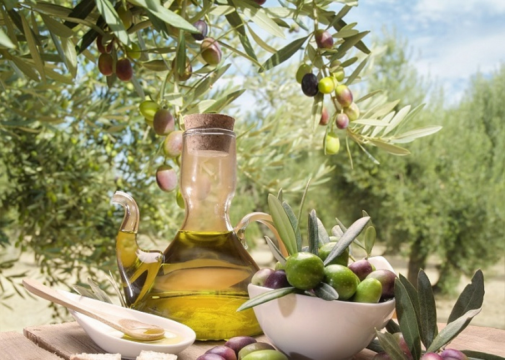 Elazığ'da Yok Satıyor! Demanstan Ölme Riskini Azaltıyor!