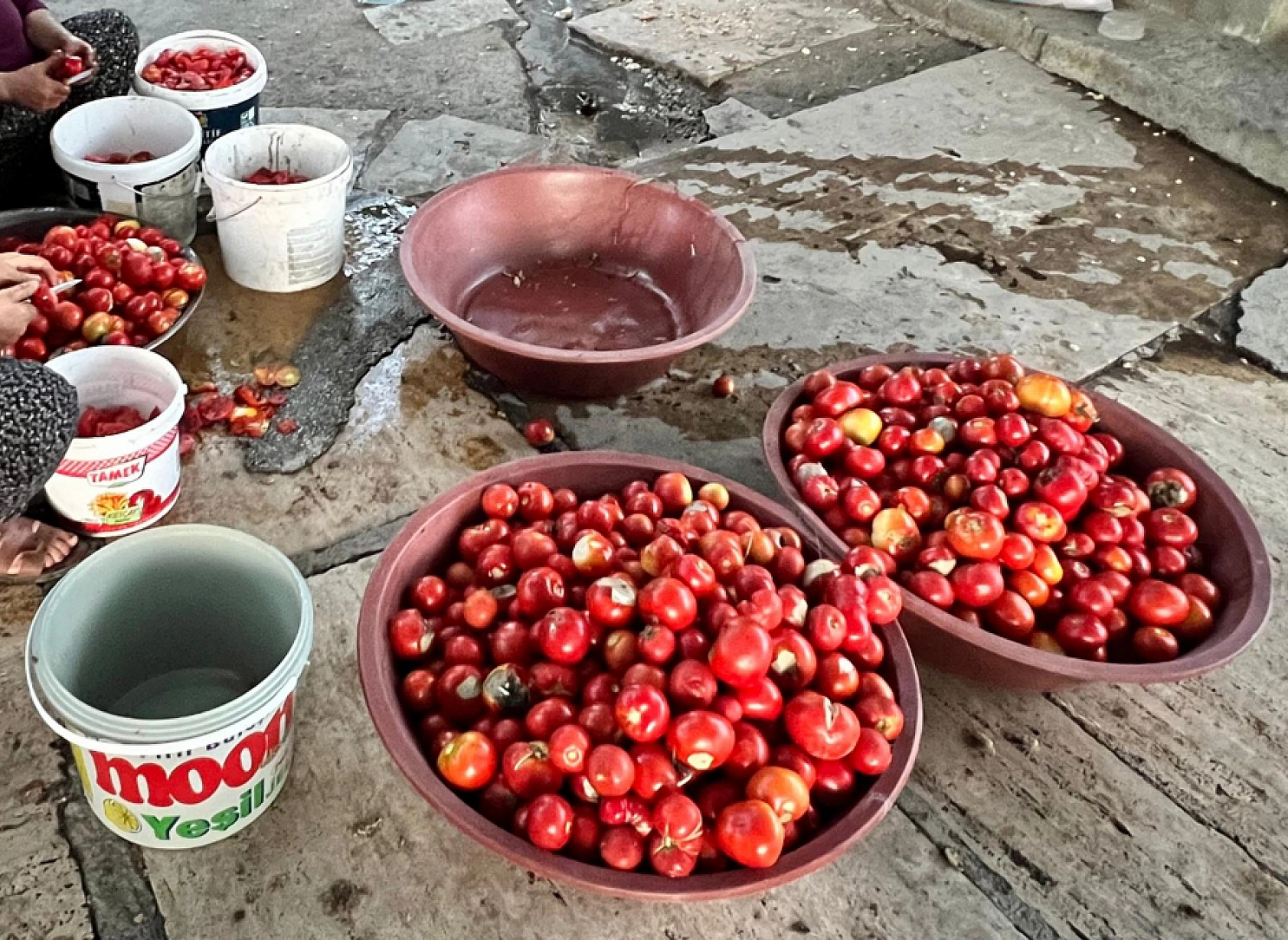 Elazığ'da Sezonu Bu Yıl Erken Başladı Fiyatı Cep Yakacak