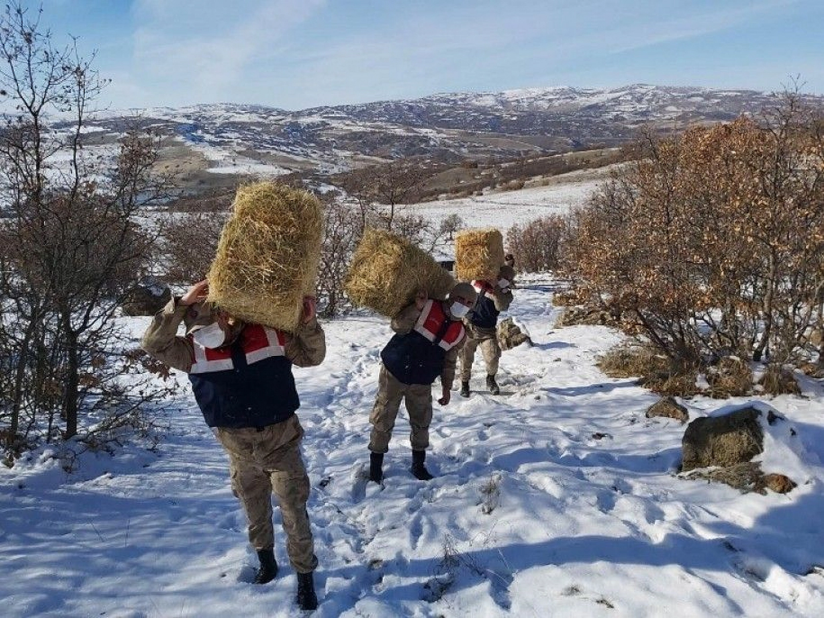 Doğaya bırakılan yemleri yiyen yaban keçileri ve kuşlar görüntülendi