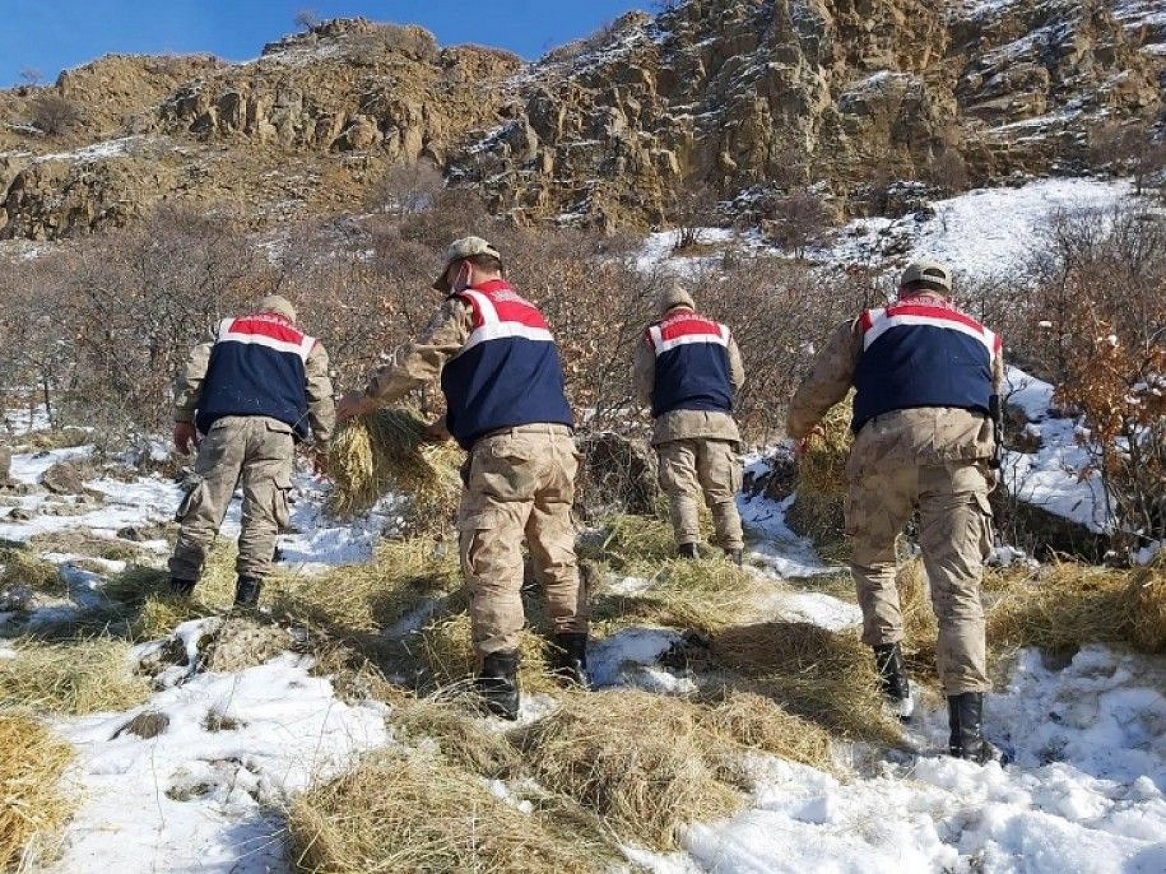 Doğaya bırakılan yemleri yiyen yaban keçileri ve kuşlar görüntülendi