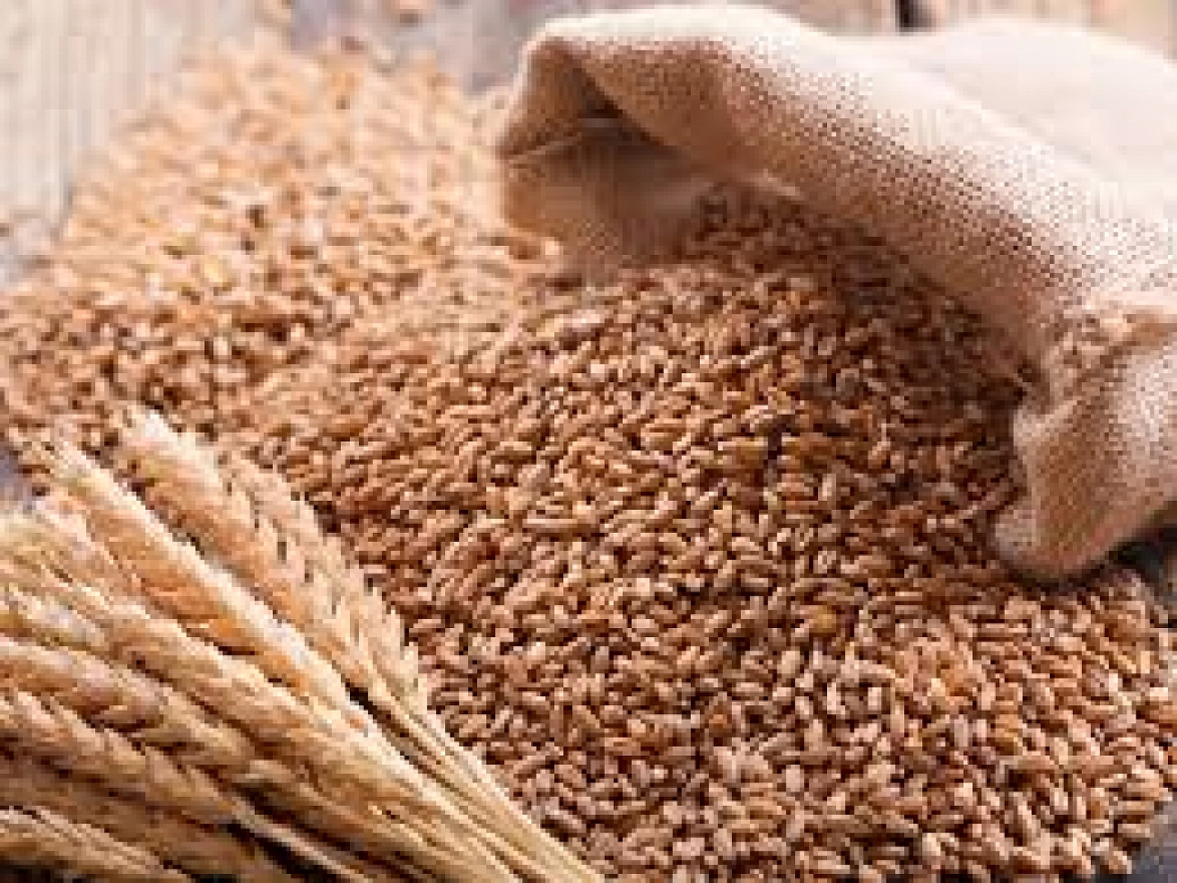 Elazığ'da Büyük Heyecan: Uğraşlar 3 Ay Sürecek, Depolar Dolacak!