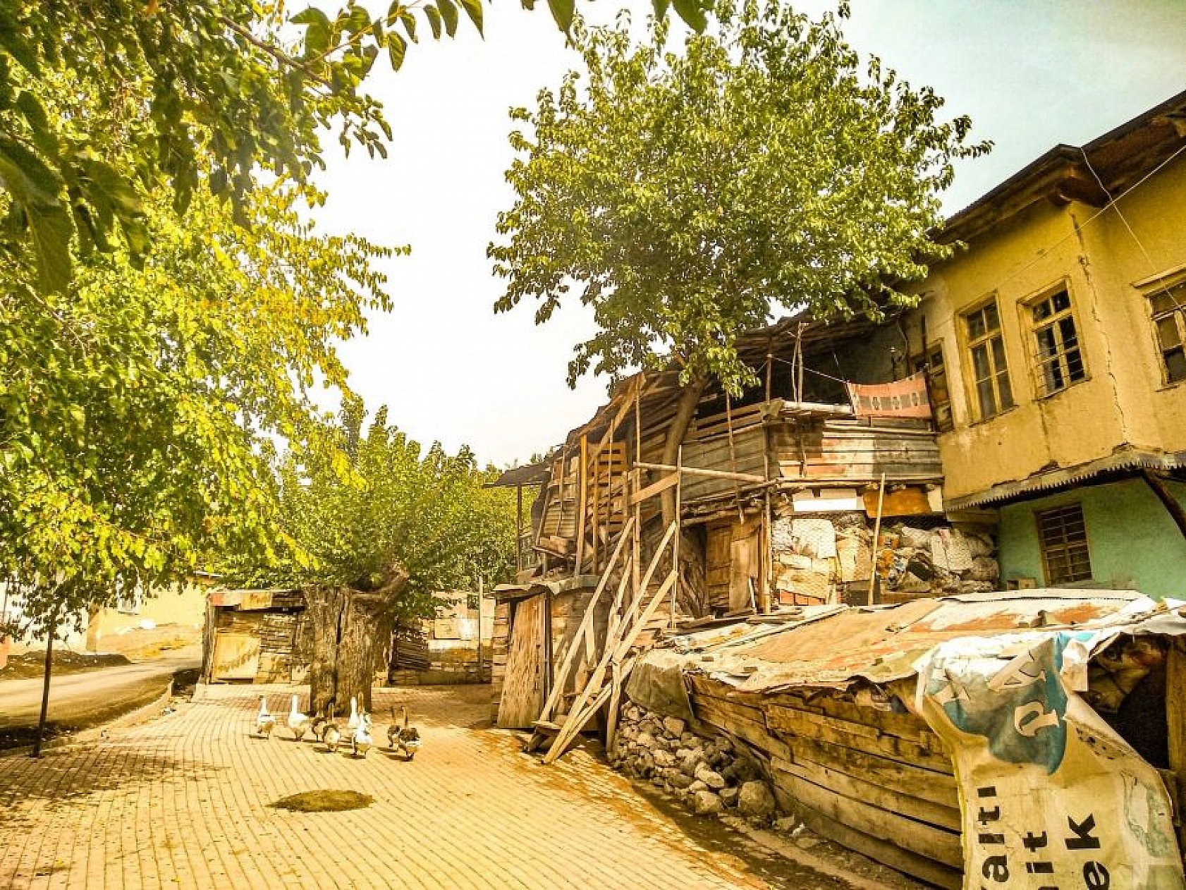 Elazığ'da tarihi konaklar sonbahar renklerine büründü