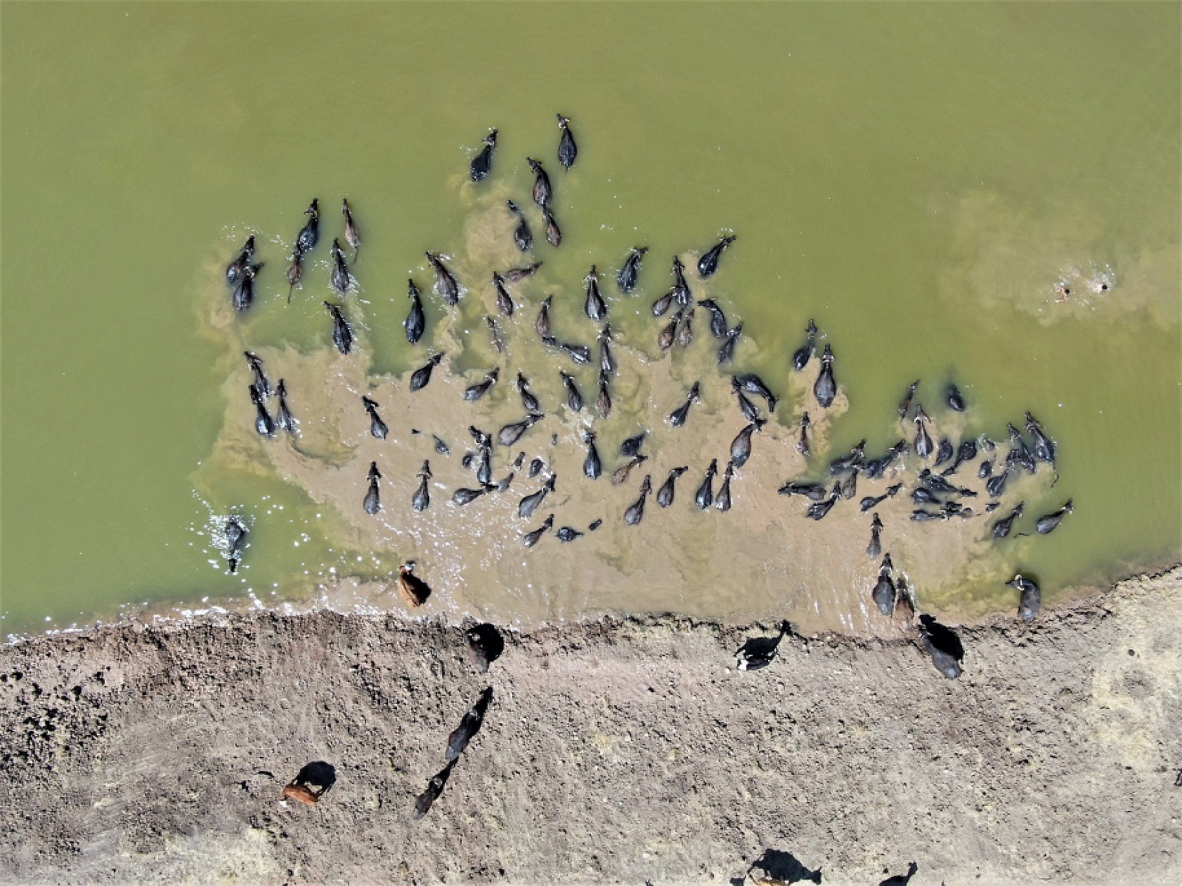 Eyyam-ı Bahur Türkiye'yi Afrika'ya Çevirdi, Komşu İlimizde Müthiş Kareler Ortaya Çıktı
