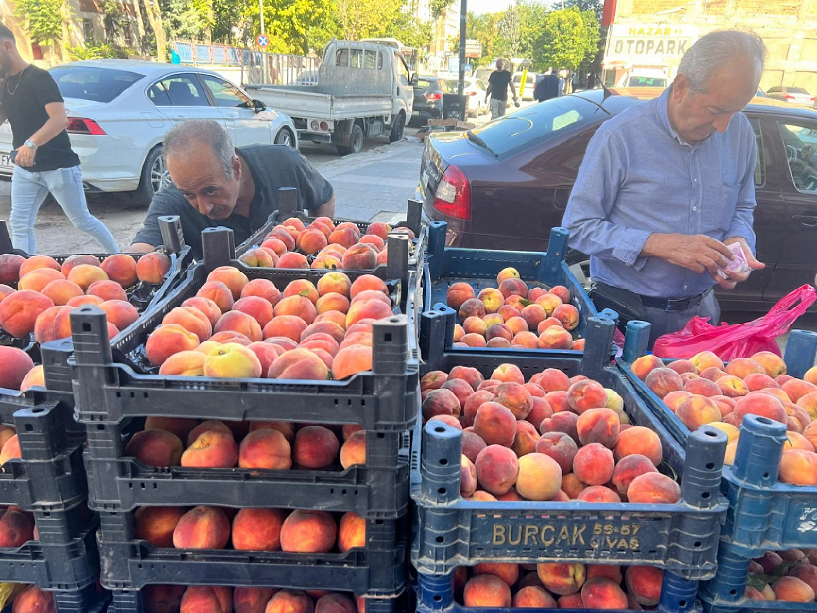 Elazığ'da Poşetini Kapan Oraya Koştu! Kilosu 25 Liraya Düştü!