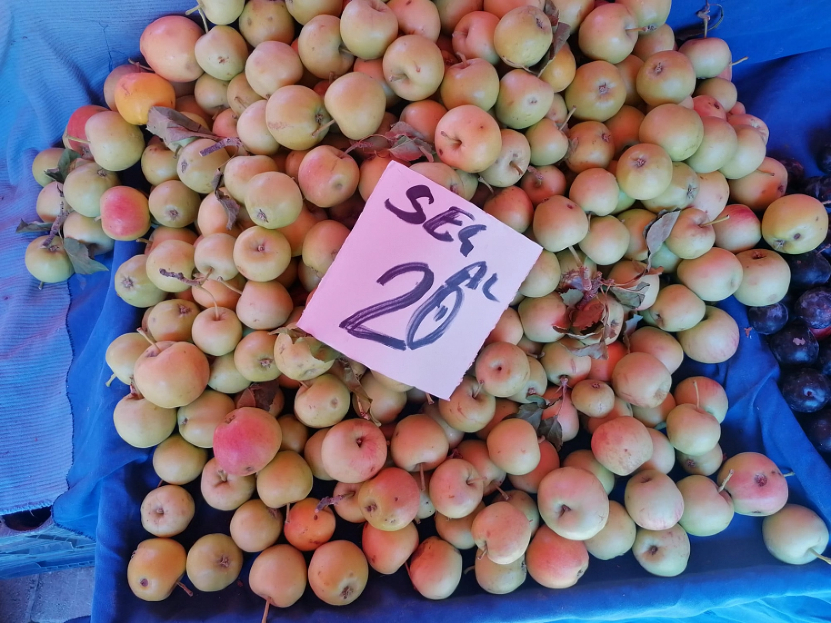 Elazığ'da Fiyatlar Düştü: Semt Pazarları Doldu Taştı!