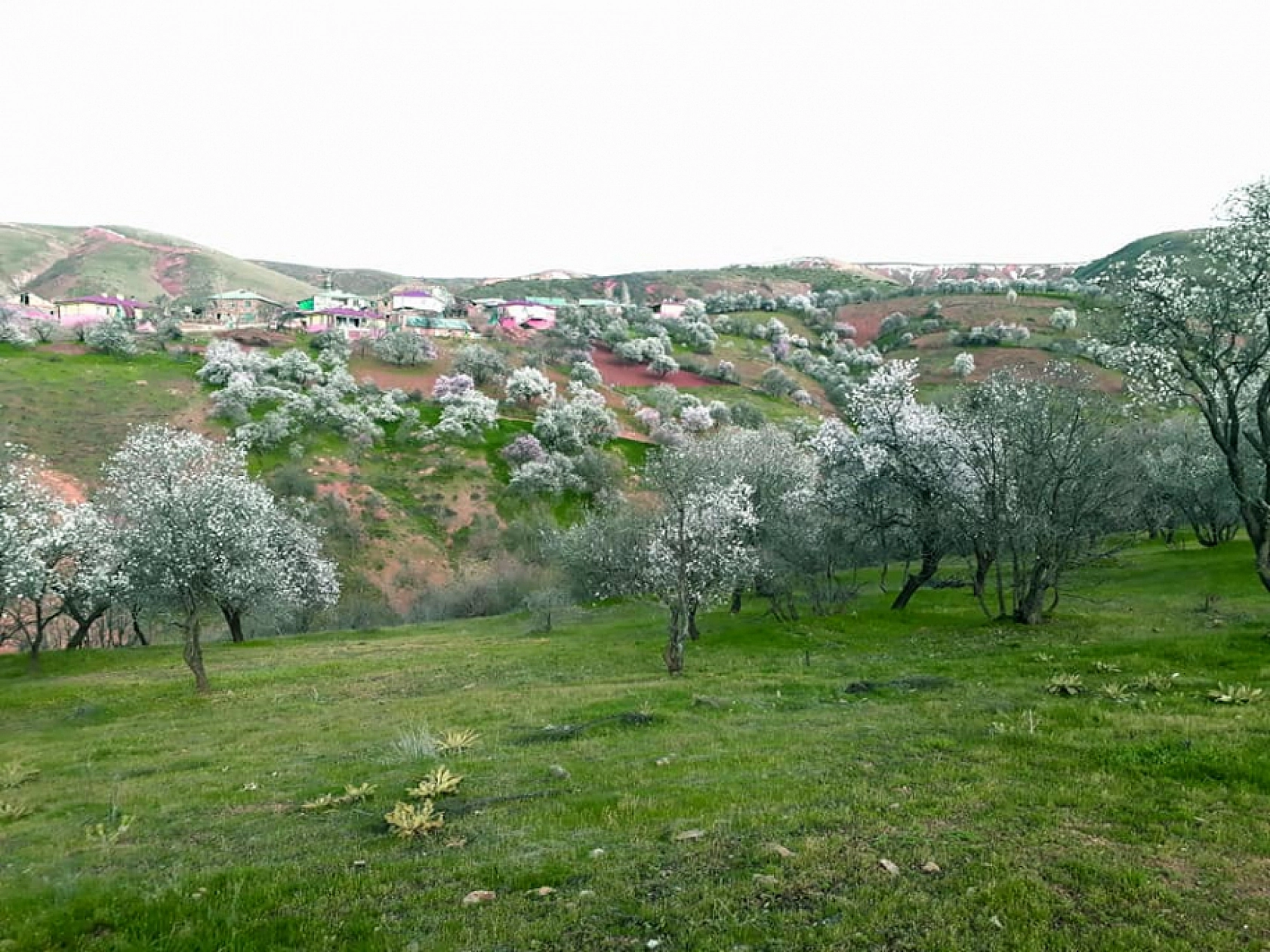 Elazığ'da Akıllara Durgunluk Veren Köy: Kimse Bilmiyor Ama Bünyesinde Neler Var Neler