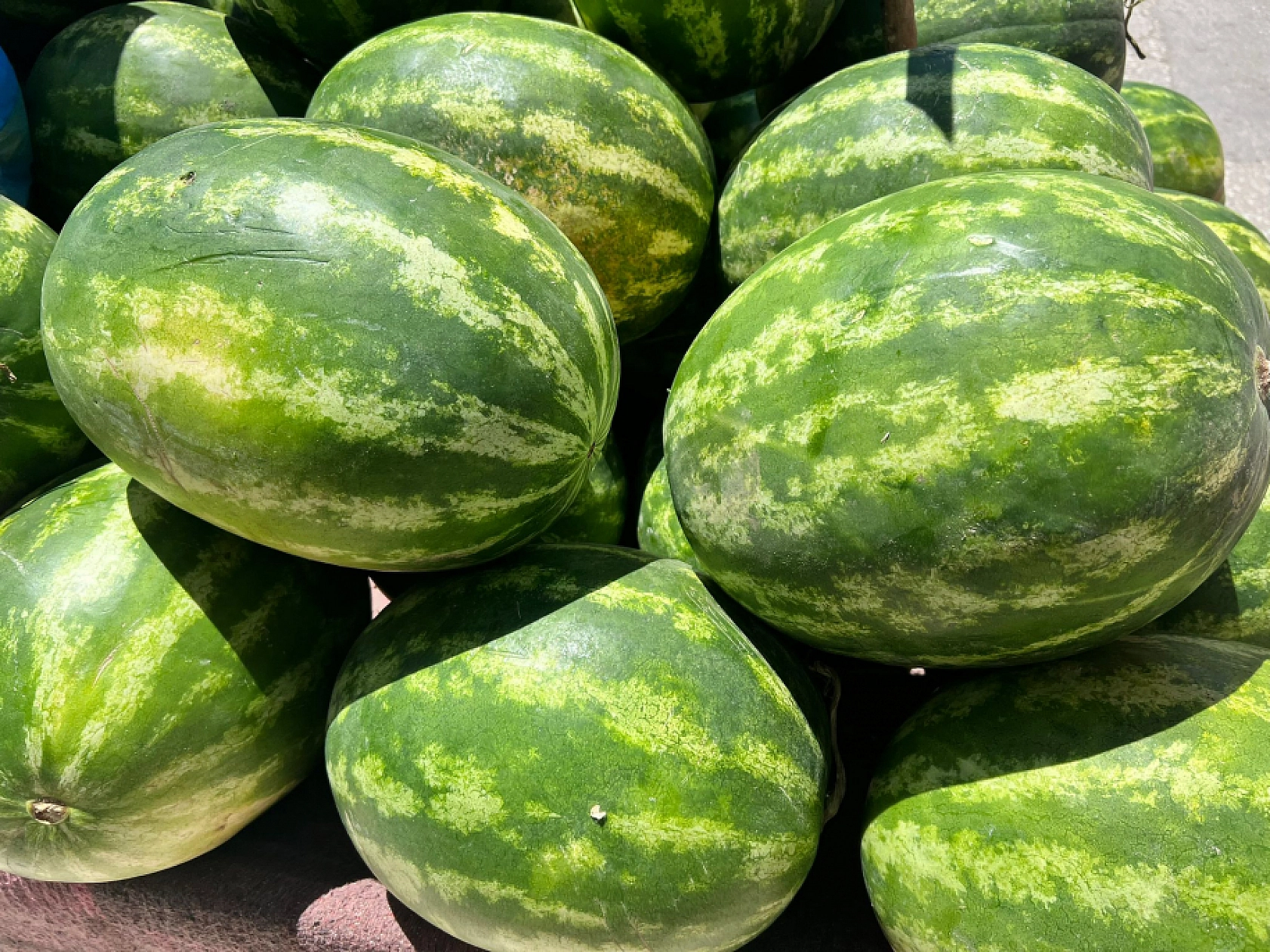 Elazığ'da Kilosu 2 Liraya Kadar Düştü: Tarlada Çürümeye Terk Ettiler!