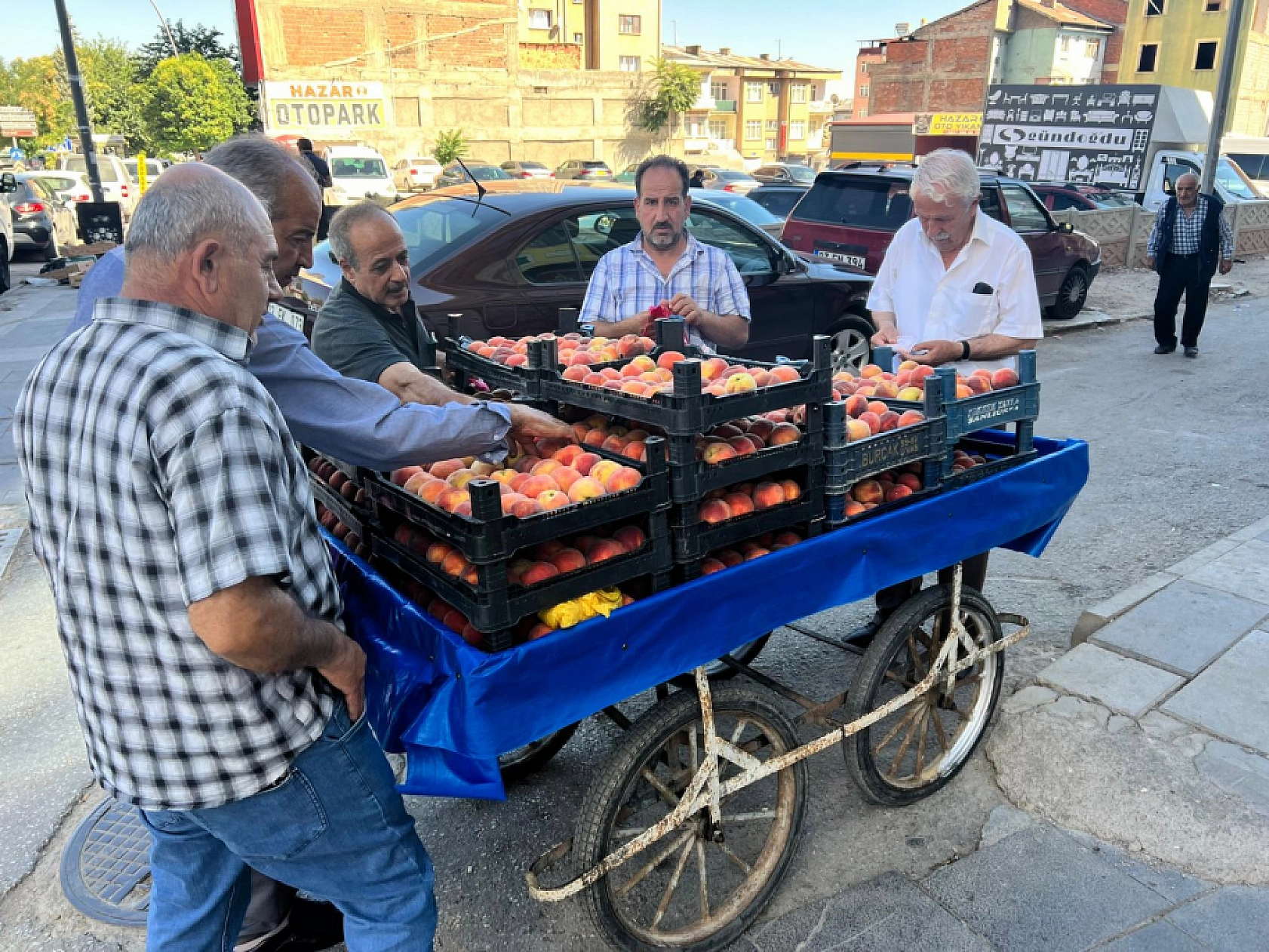 Elazığ'da Poşetini Kapan Oraya Koştu! Kilosu 25 Liraya Düştü!