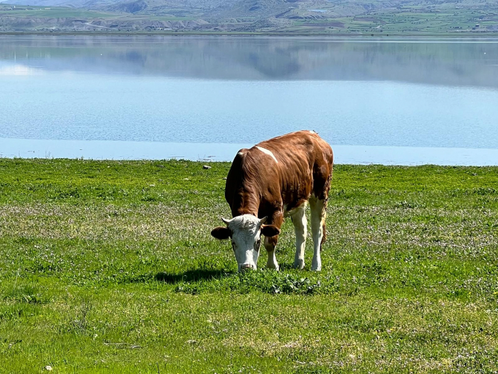 Baharın Gelmesine En Çok Onlar Sevindi