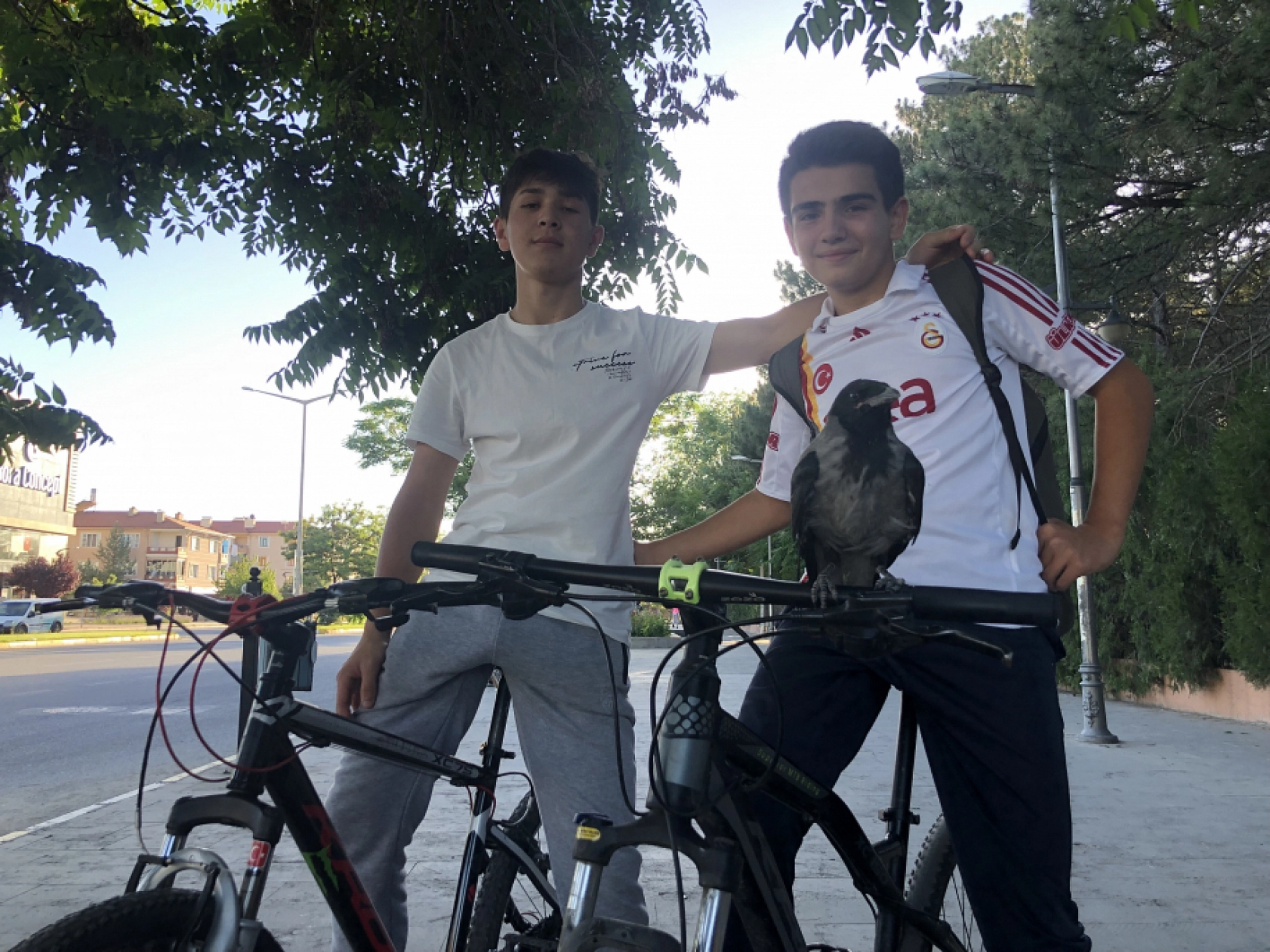 Gören Herkesi Kıskandıracak Dostluk