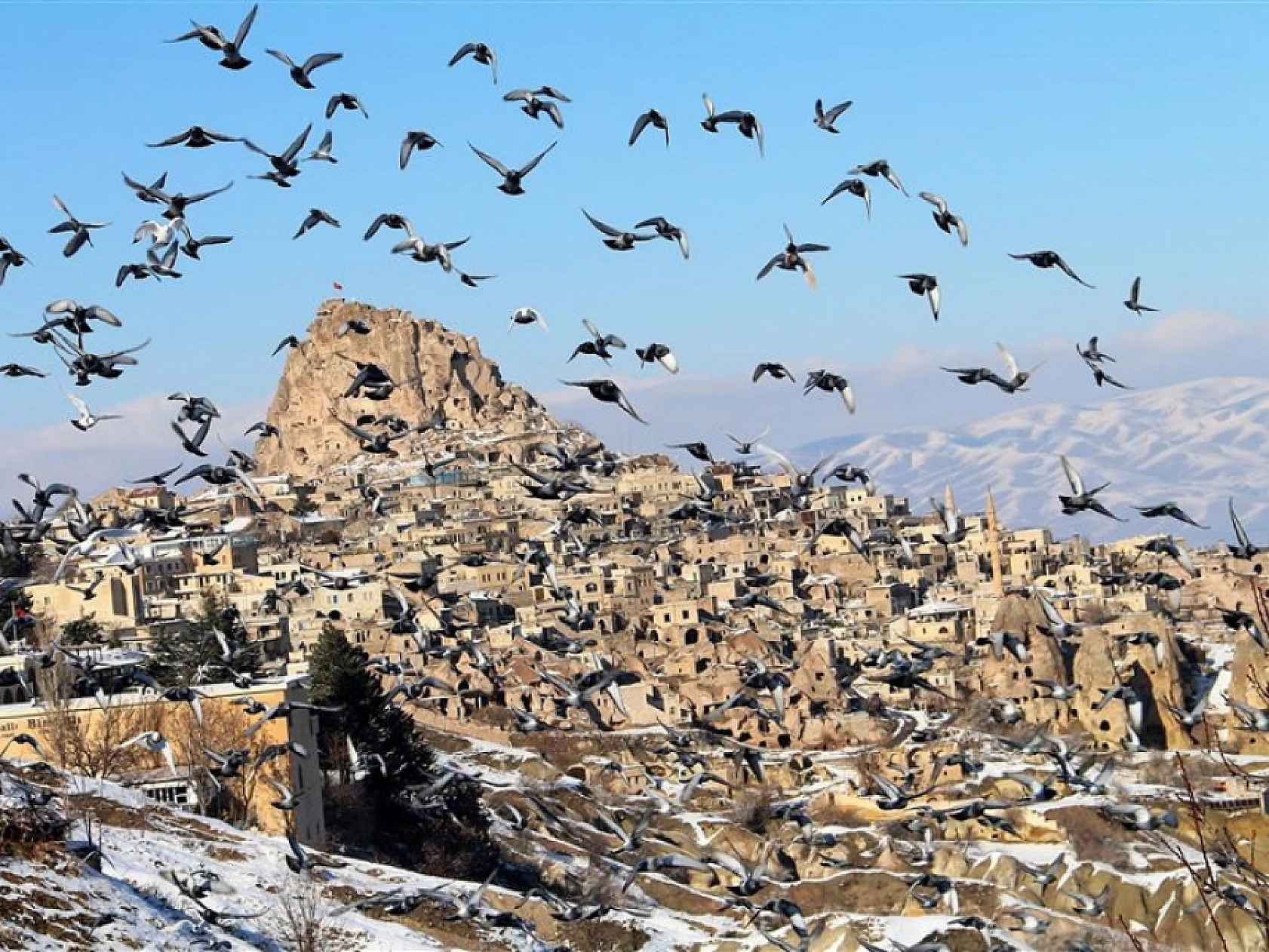 Kullanıcılardan yoğun ilgi: Elazığ o konuda en çok aranan 2. şehir oldu!