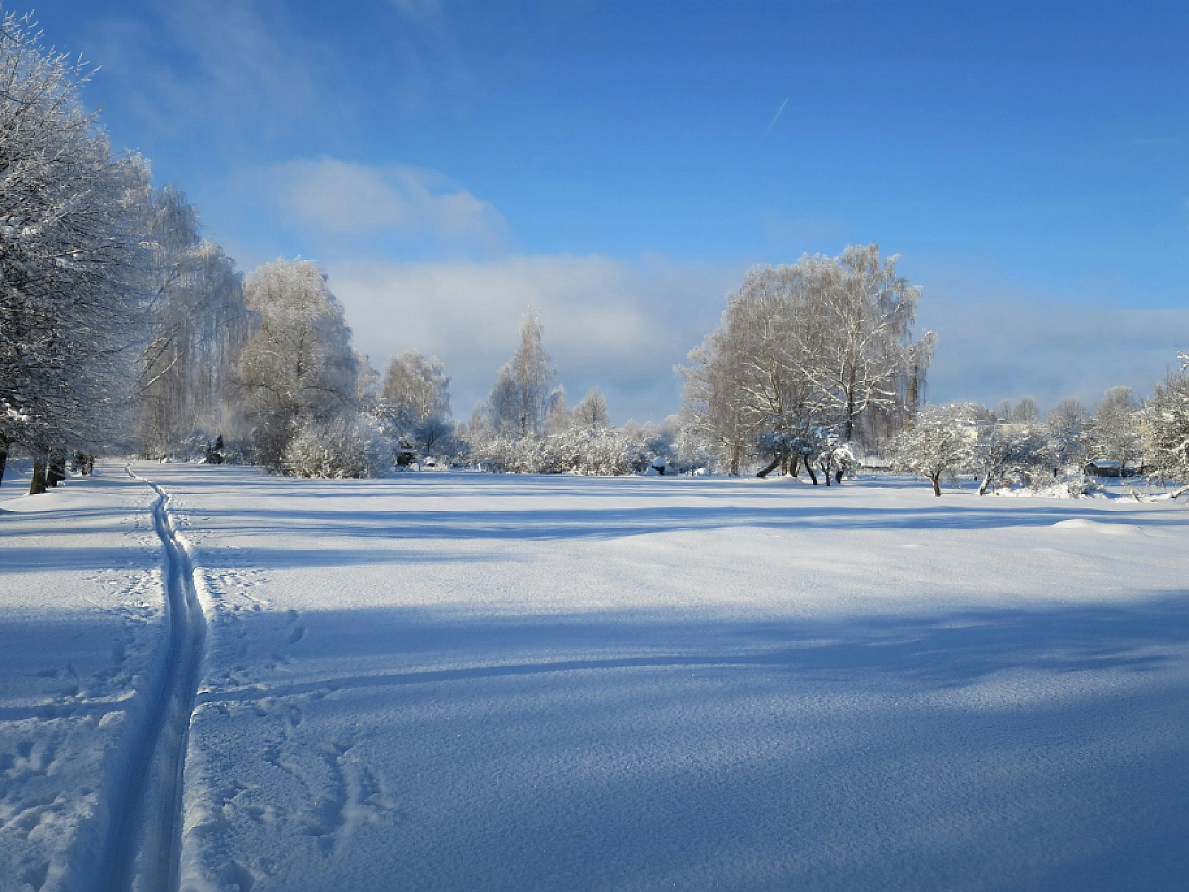 Elazığ'a kar geliyor! Tedbir almayı unutmayın… Elazığ'ı daha soğuk günler bekliyor