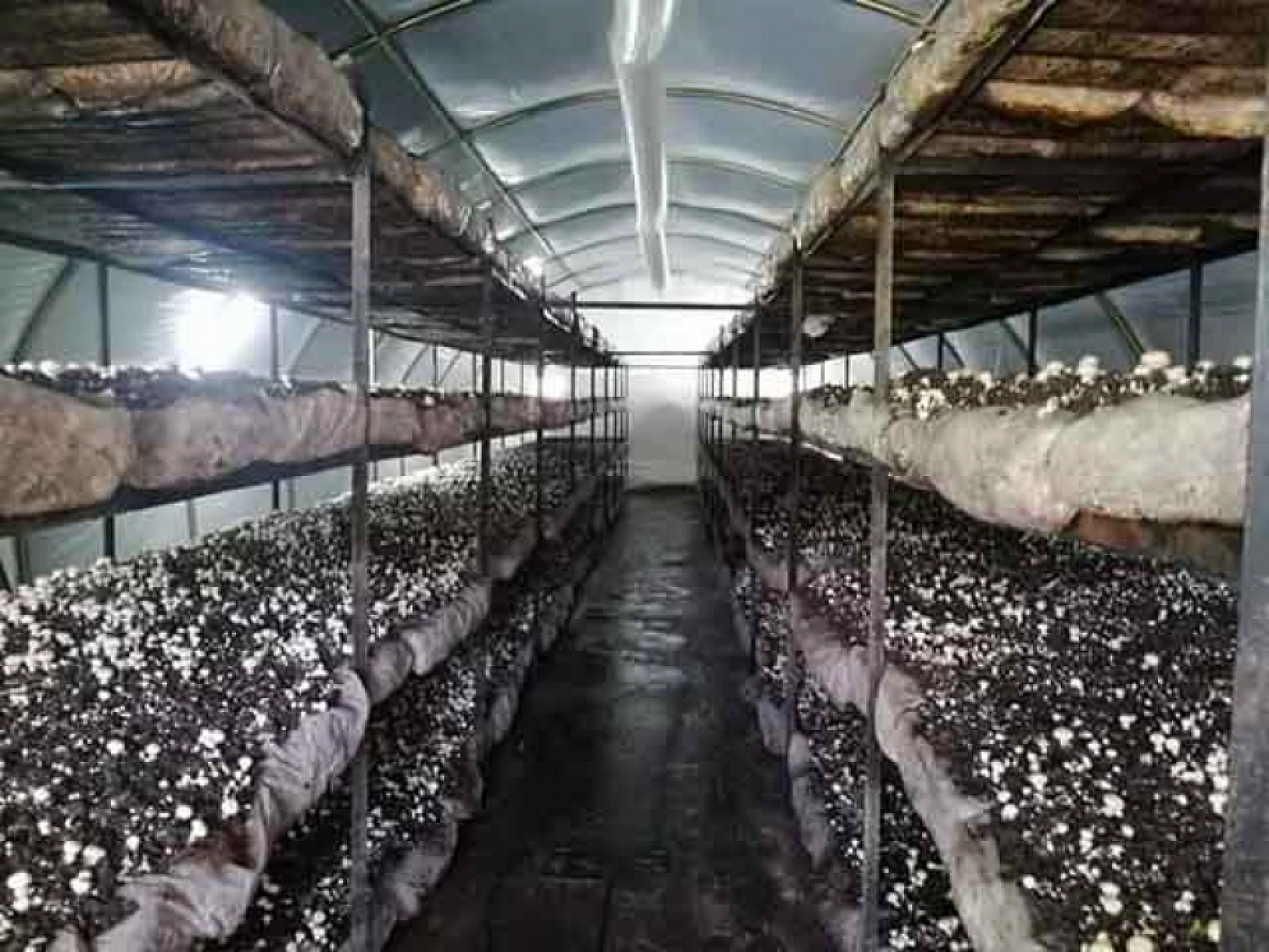 Elazığlılar Dikkat Bu İşi Yapan Paraya Para Demiyor!