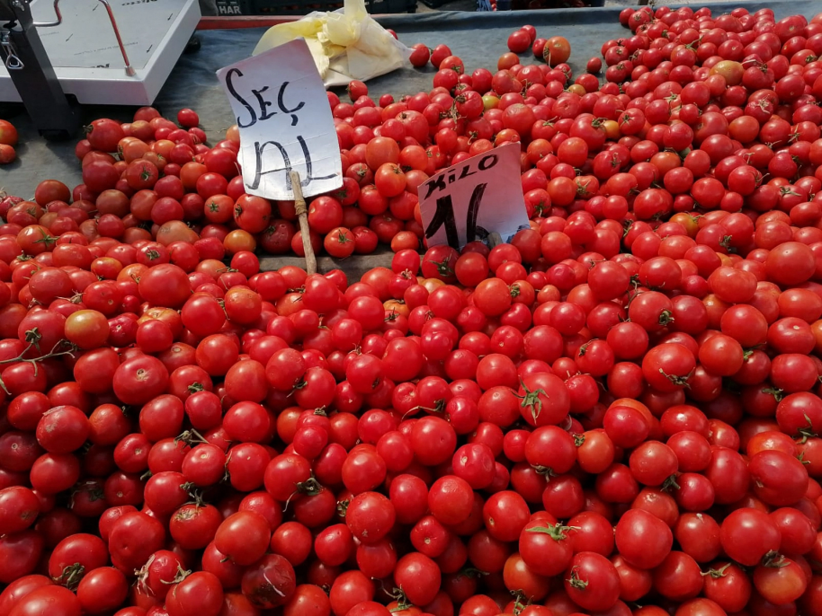 Alıcıya Yüksek Satıcıya İyi Geliyor  Elazığ'da Fiyat İkilemi!