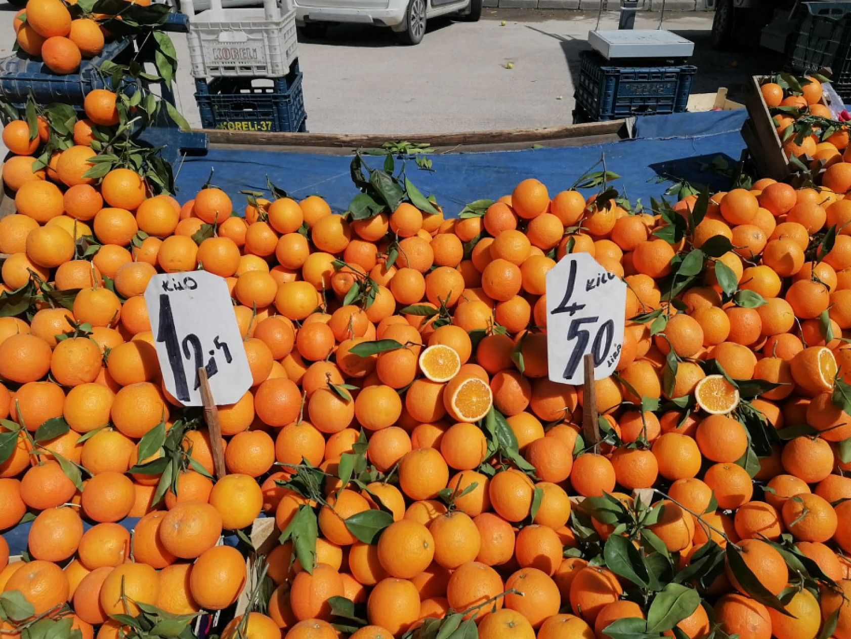 Alıcıya Yüksek Satıcıya İyi Geliyor  Elazığ'da Fiyat İkilemi!