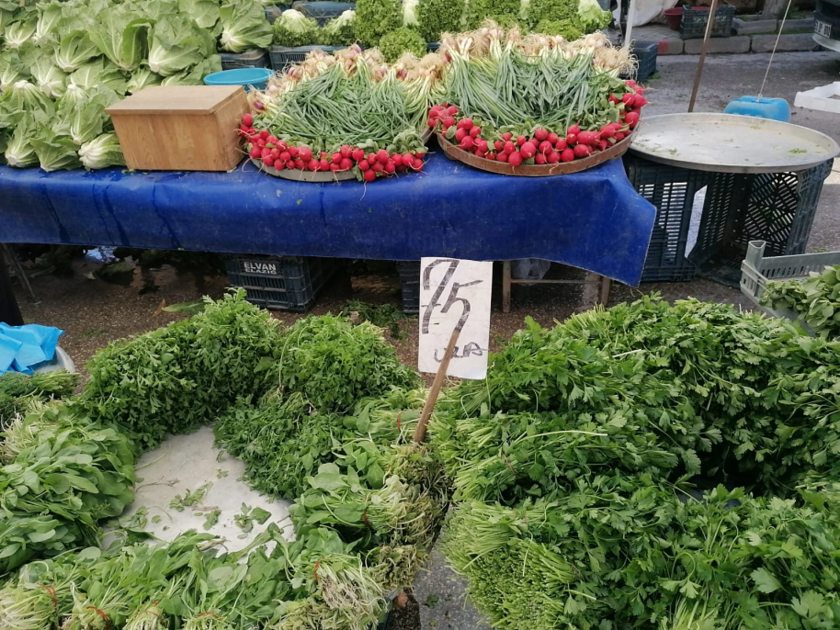 Alıcıya Yüksek Satıcıya İyi Geliyor  Elazığ'da Fiyat İkilemi!