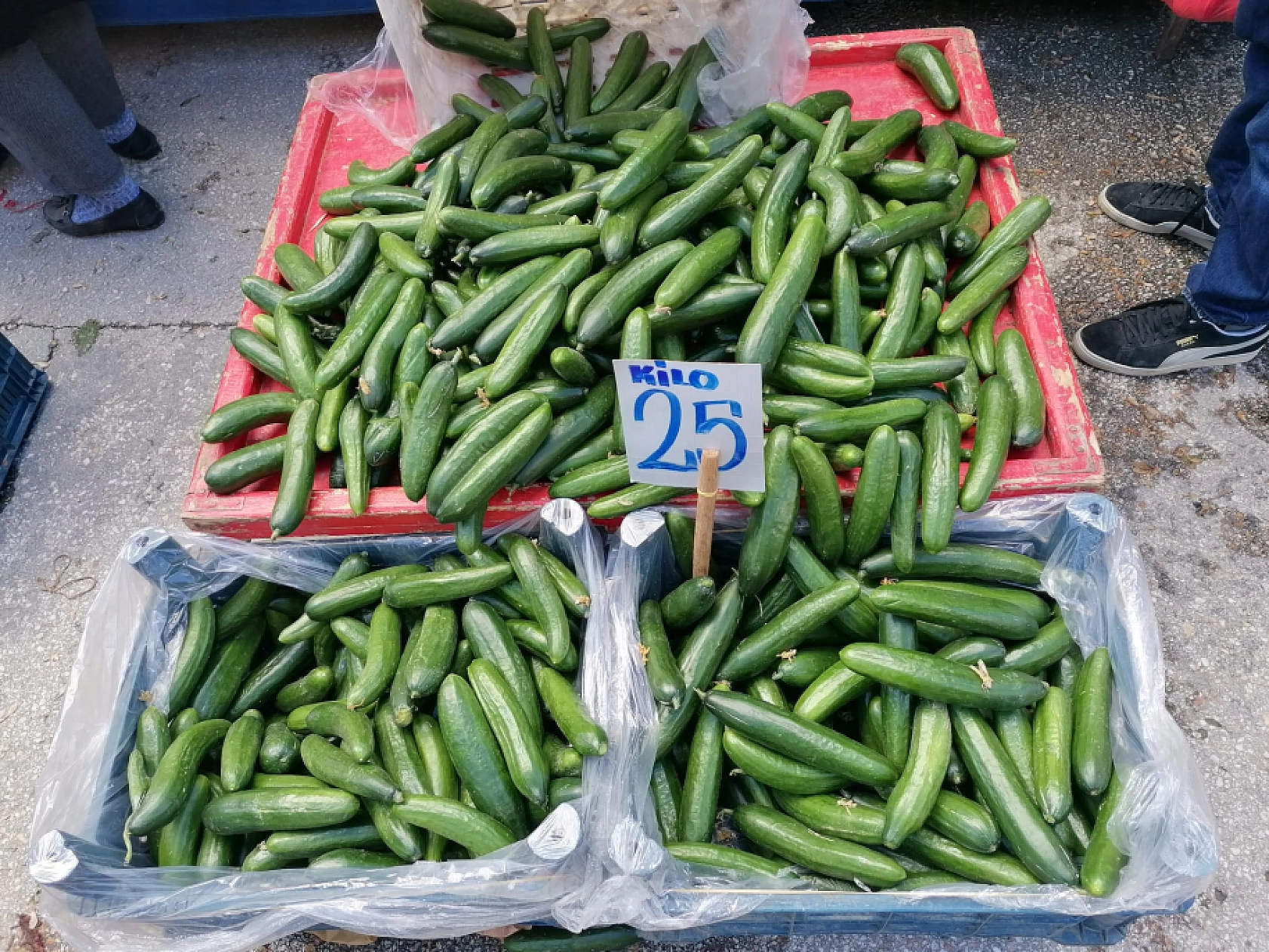 Alıcıya Yüksek Satıcıya İyi Geliyor  Elazığ'da Fiyat İkilemi!