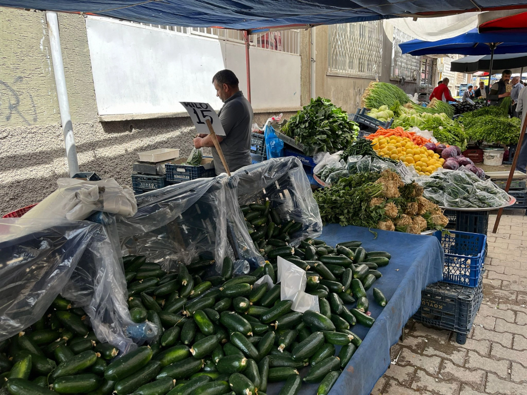 Elazığ Semt Pazarında Bu Haftanın Fiyatları