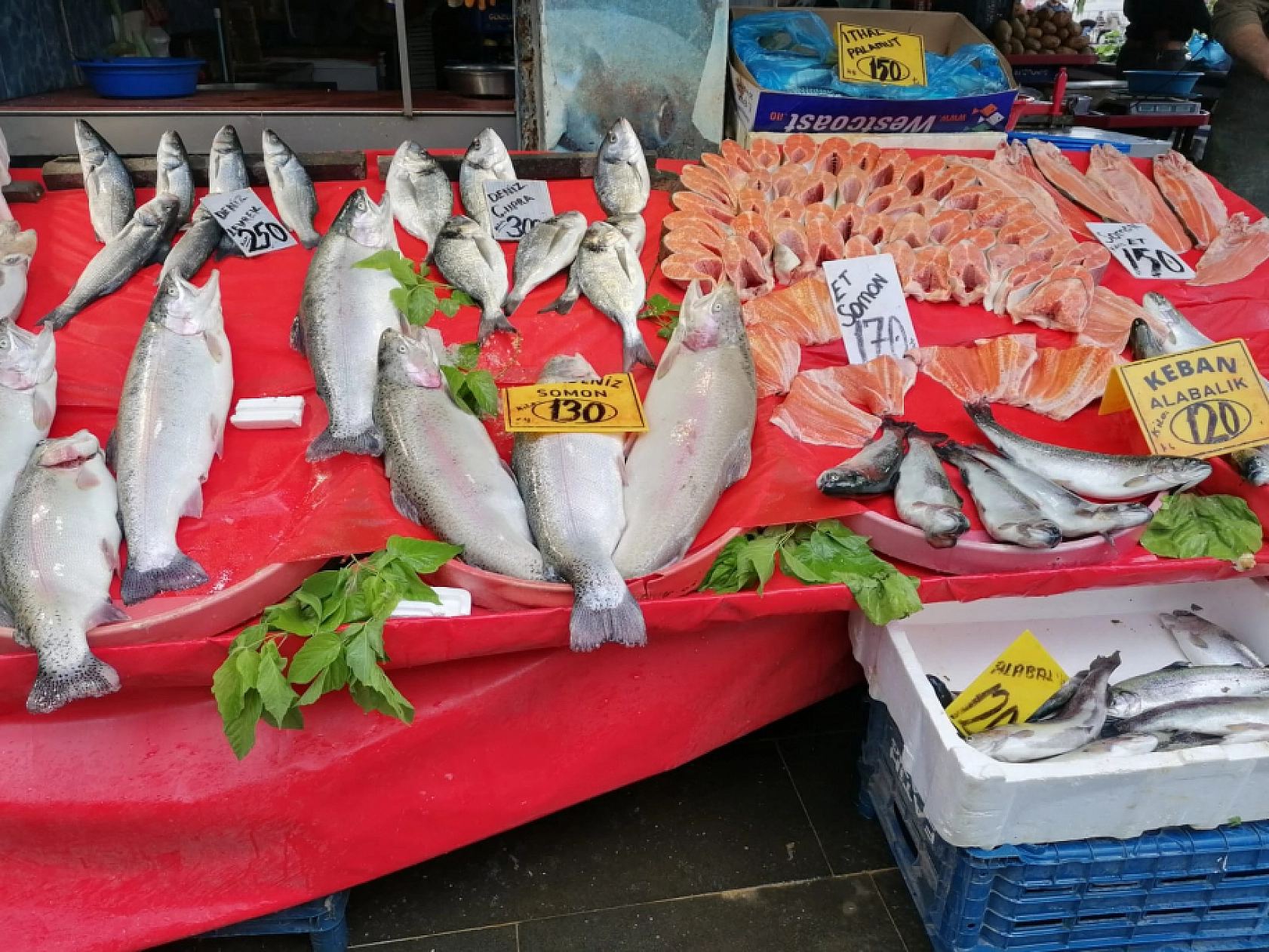 Elazığ'da Fiyatları Sabit Kaldı, Alıcı Bulamadı! Vatandaşlar Yüzüne Bakmıyor