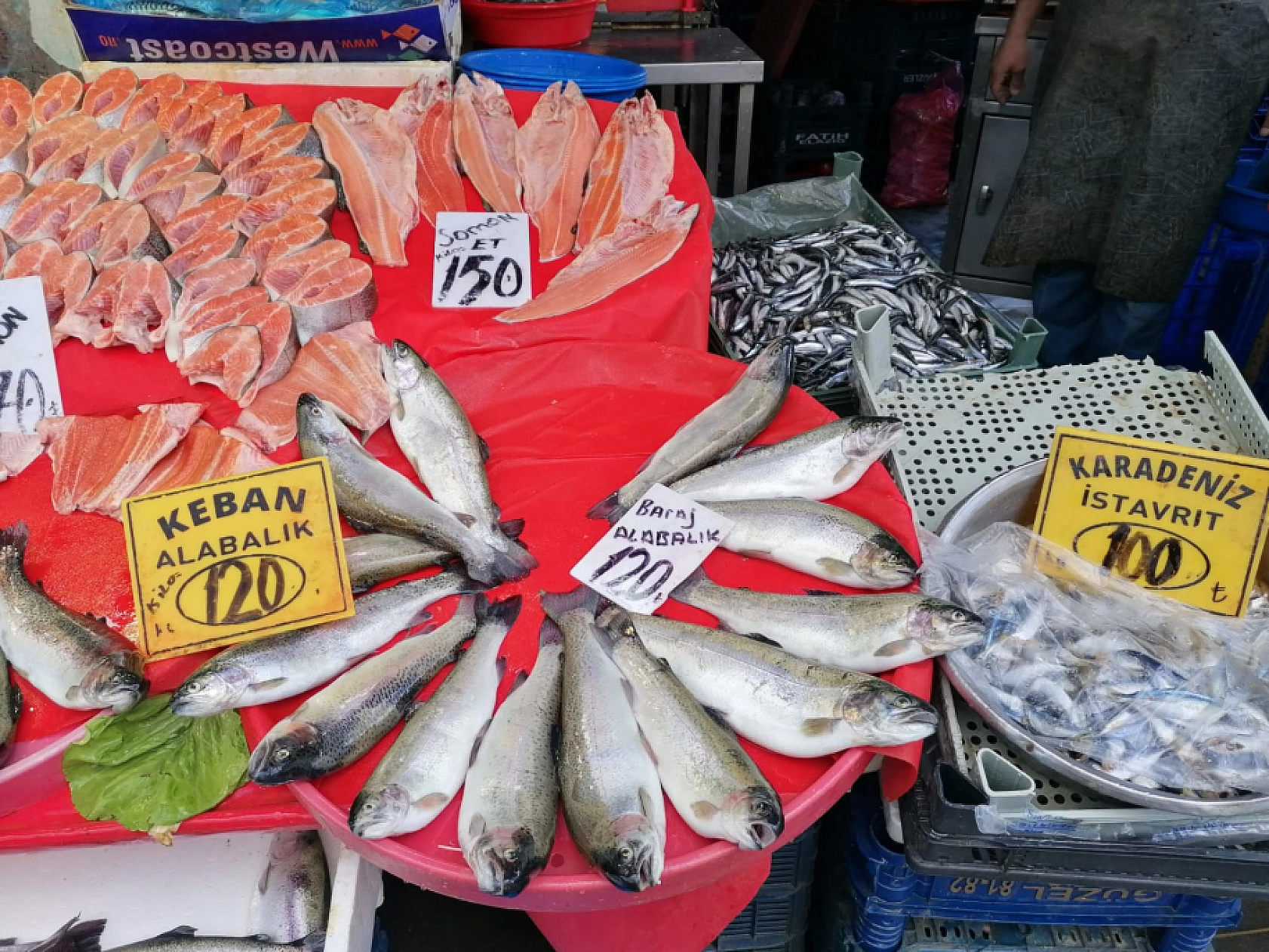 Elazığ'da Fiyatları Sabit Kaldı, Alıcı Bulamadı! Vatandaşlar Yüzüne Bakmıyor