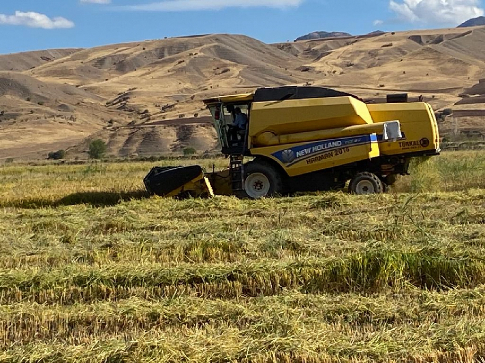 Sadece Palu'da 5 Ay Sürecek Emeğin Yolcuğu Başladı