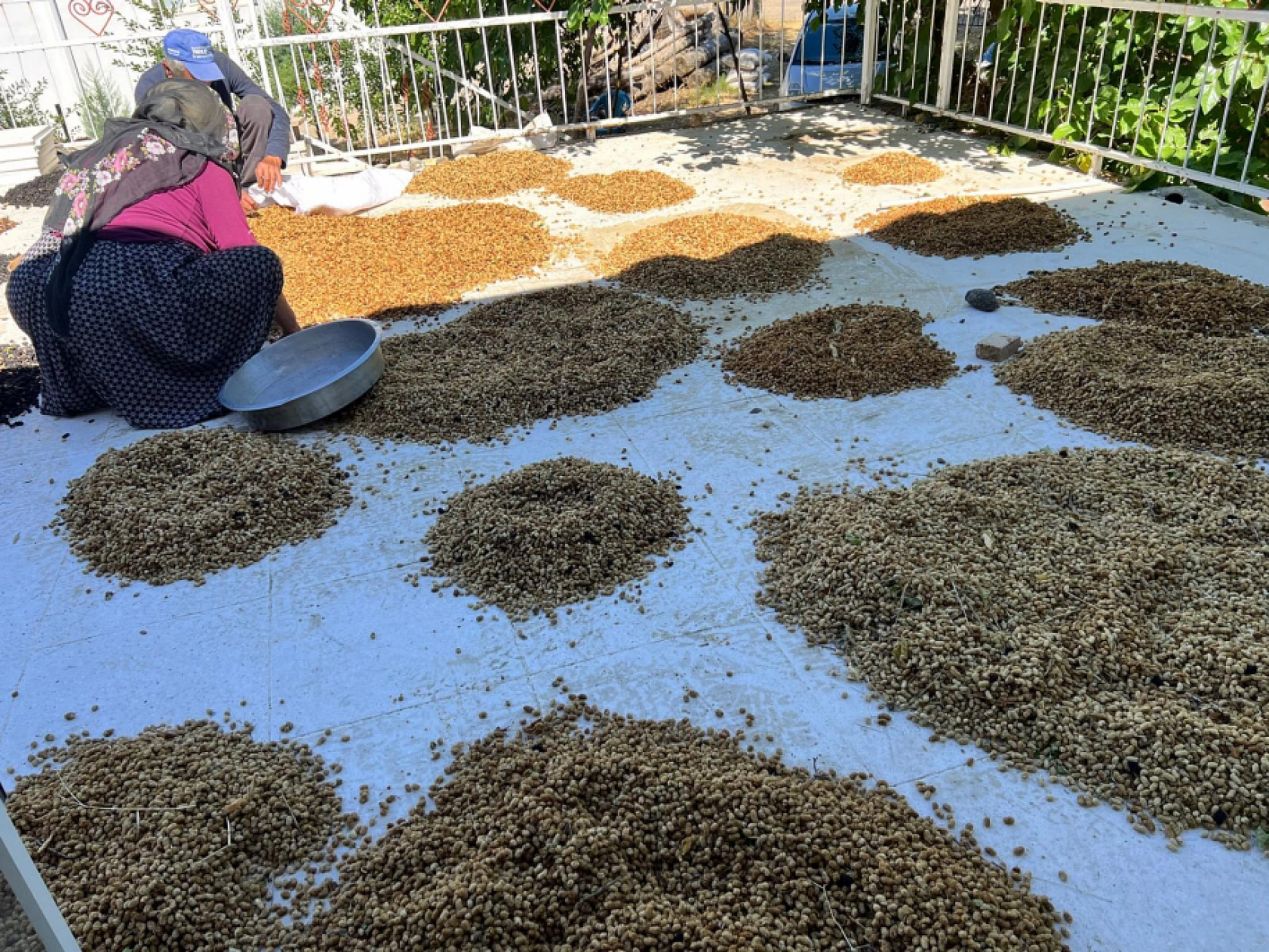 Elazığ'da Birçok Ailenin Geçim Kaynağı Oldu