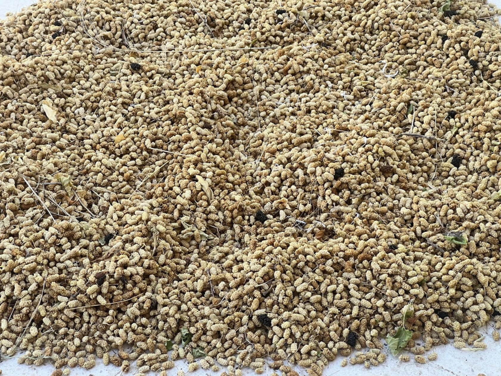 Elazığ'da Birçok Ailenin Geçim Kaynağı Oldu