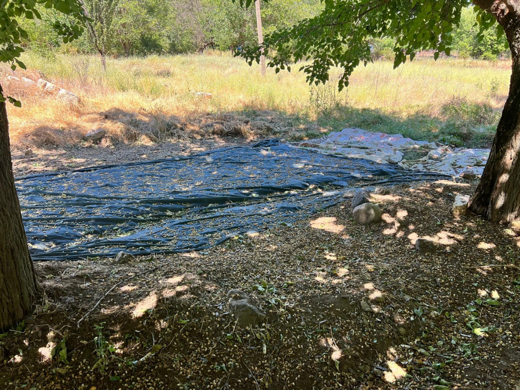 Elazığ'da Birçok Ailenin Geçim Kaynağı Oldu