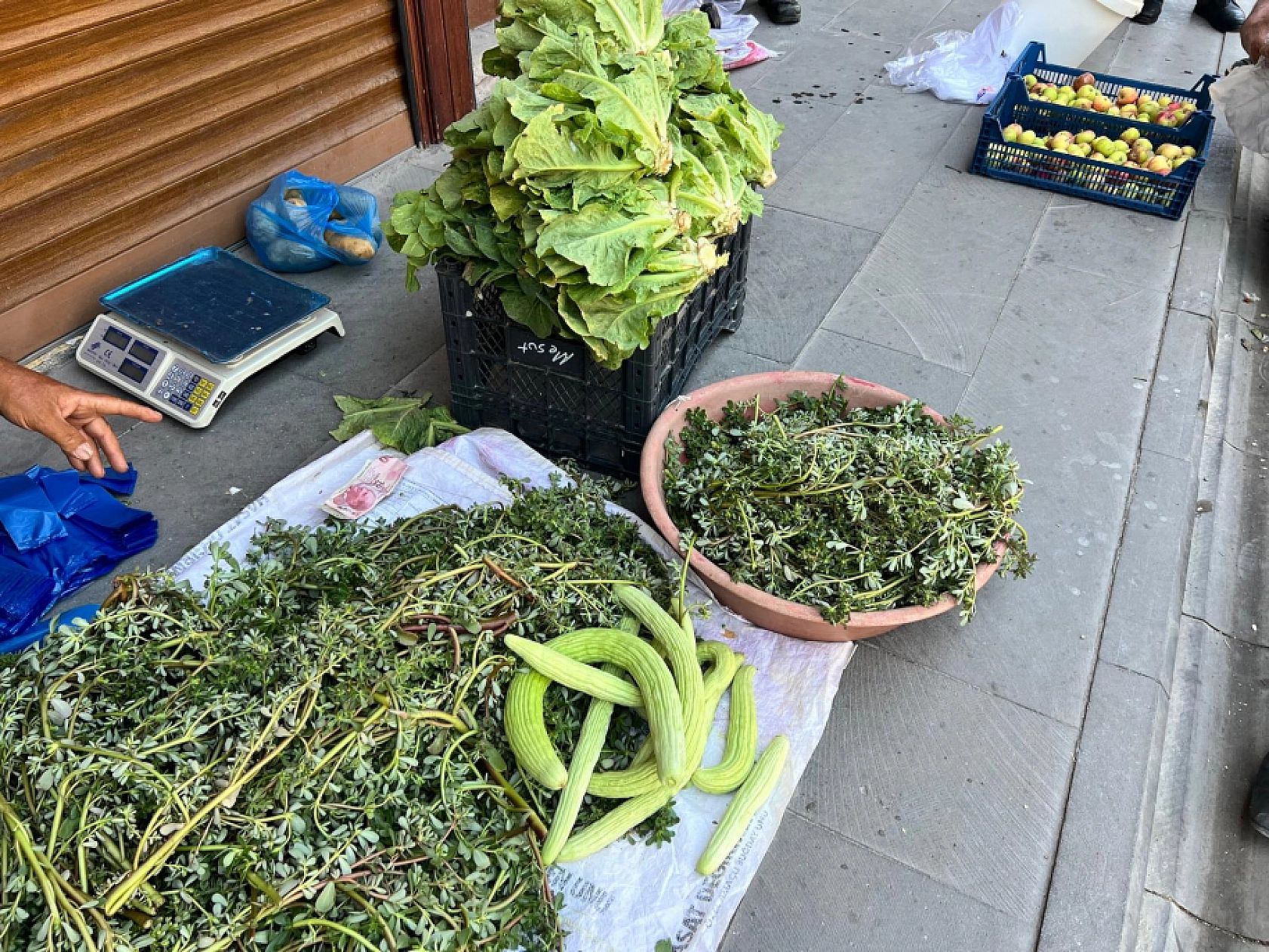 Elazığ'da Yaz Aylarının Sevilen Sebzesi Tezgahlarda Kilogramı 25 Liradan Satılıyor