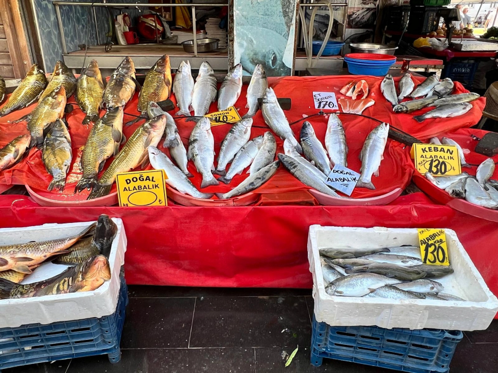 Elazığ'da Balığın Tadı Tuzu Yok