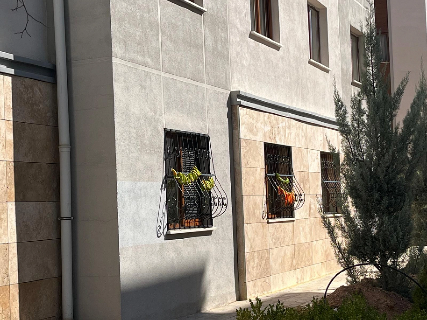 Elazığ'da Sezon Başladı Her Yerde Görebilirsiniz