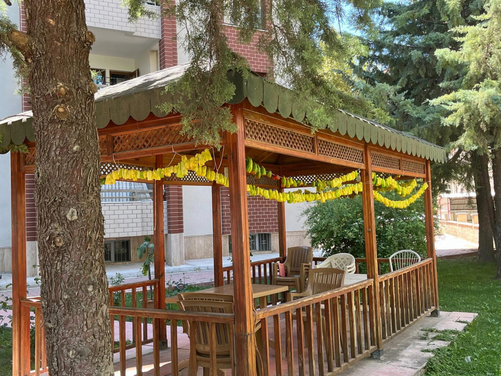 Elazığ'da Sezon Başladı Her Yerde Görebilirsiniz