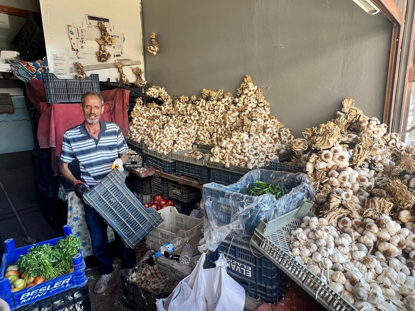 Palu'nun Doğal Antibiyotiği Fiyatıyla Görenleri Şaşırttı